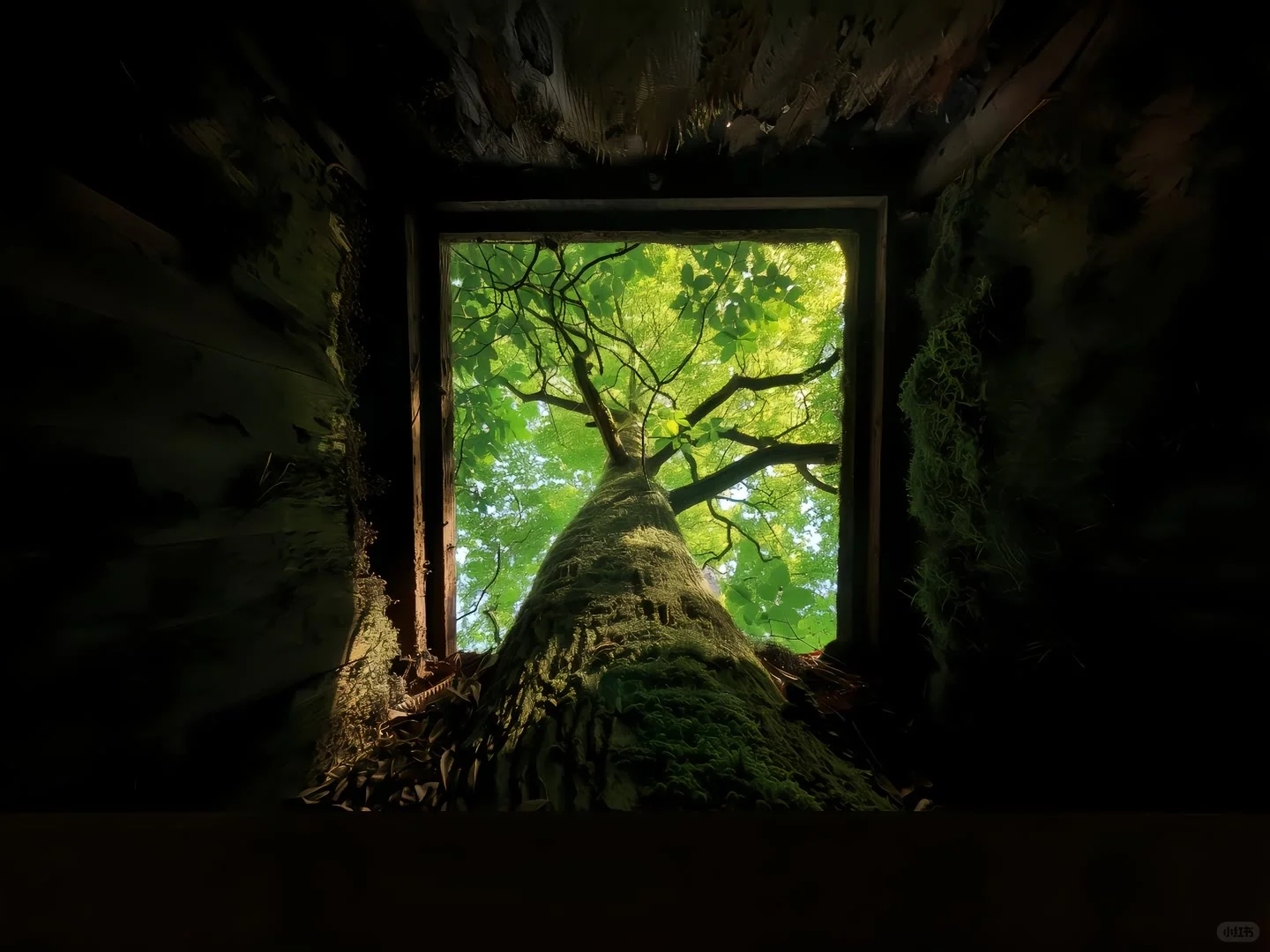 𝑺𝒉𝒂𝒓𝒆 | iPad壁纸