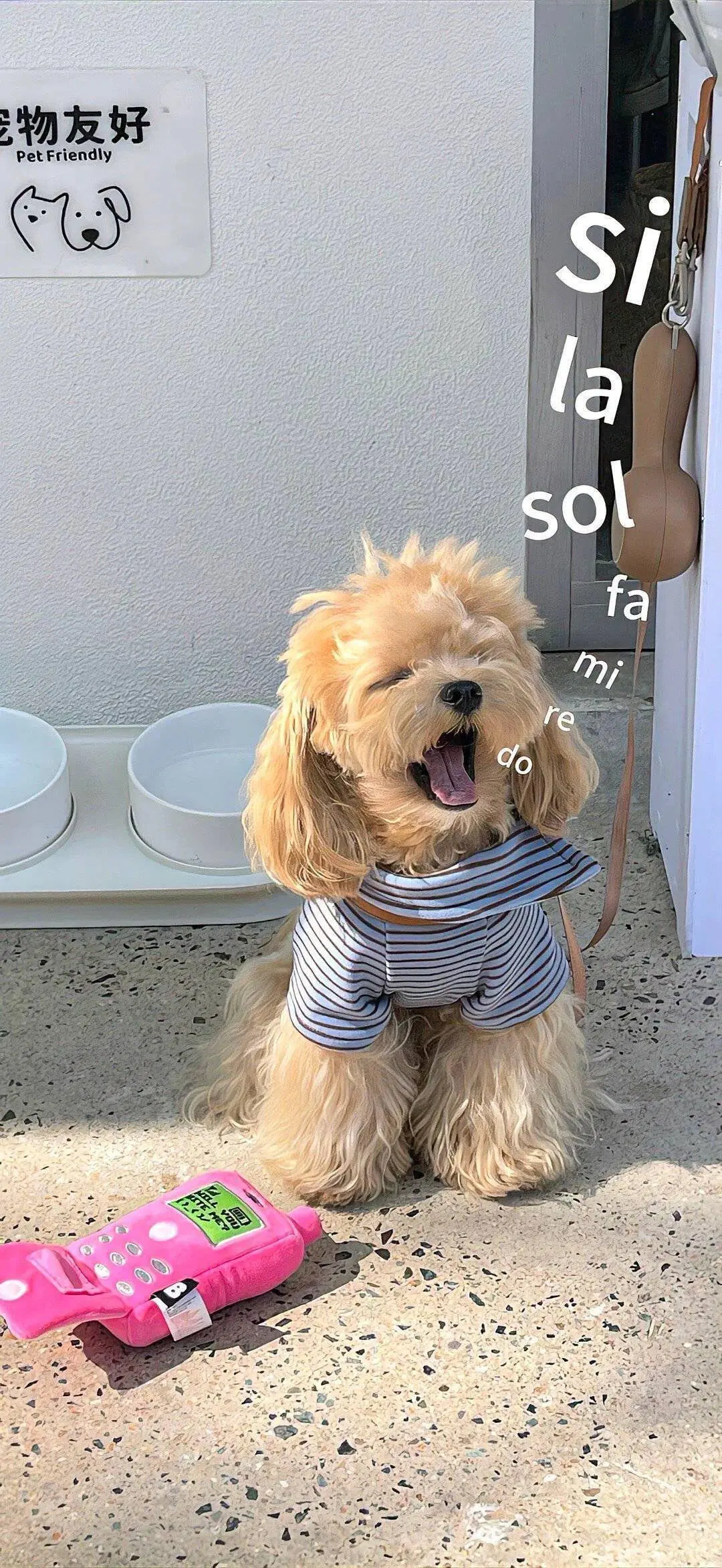 𝑾𝒂𝒍𝒍𝒑𝒂𝒑𝒆𝒓｜壁纸｜ins风