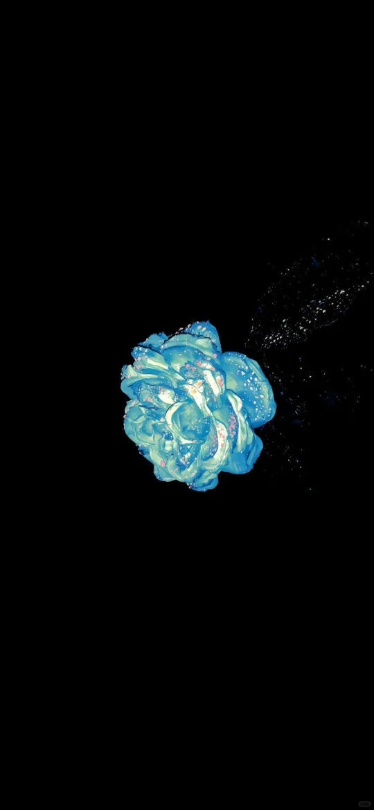 ◡̈ 𝐘𝐞𝐞𝐞𝐞 ✌︎ ⸝⸝ 每日壁纸