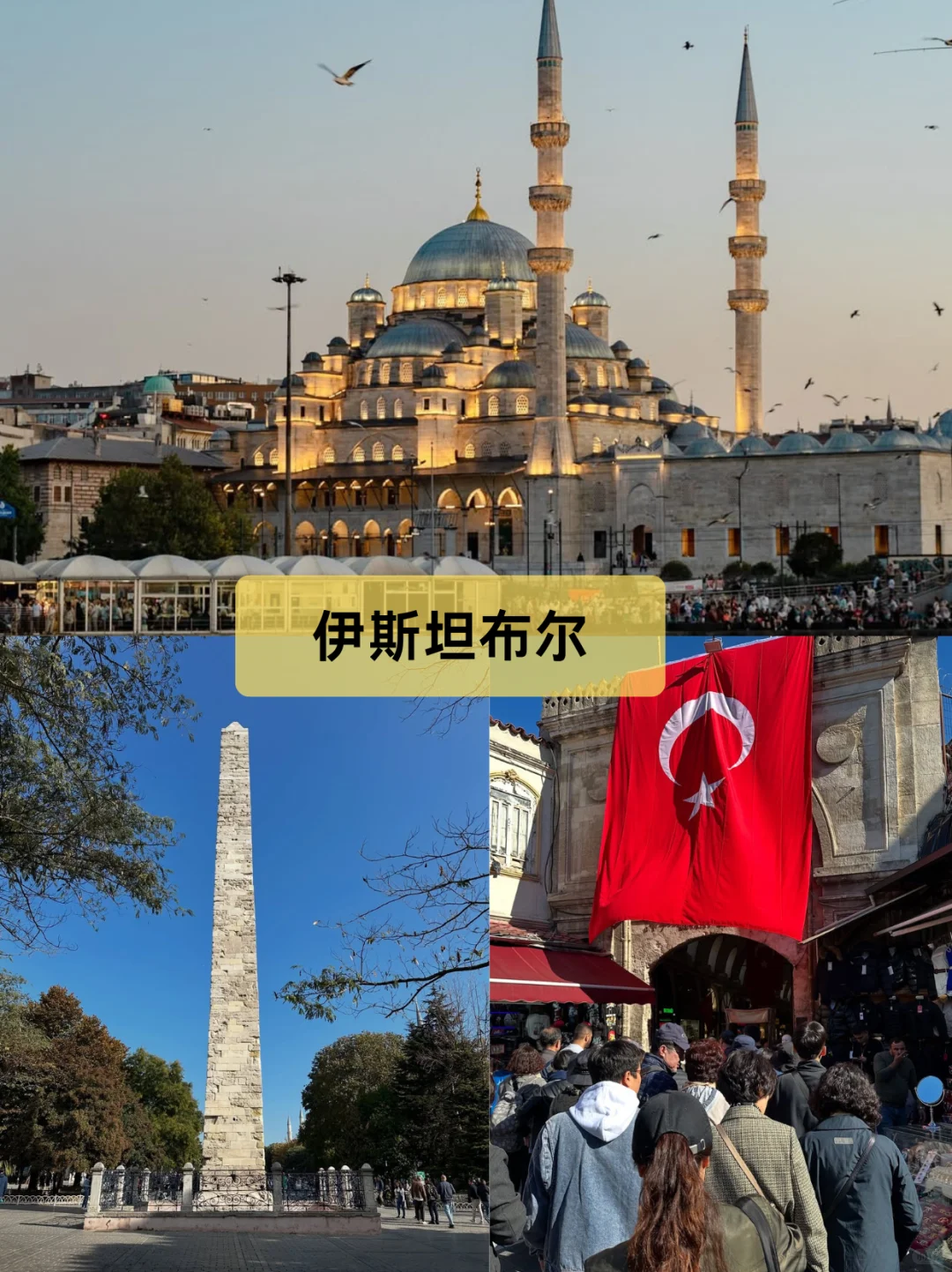 🔥土耳其8天紧急摇人！12.15团还差2位女