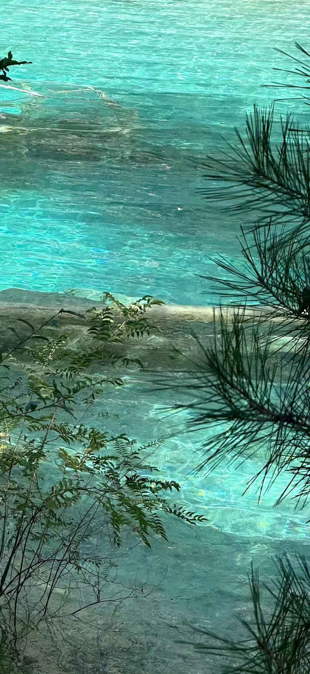 🀄：流水生财壁纸𝟐.𝟎