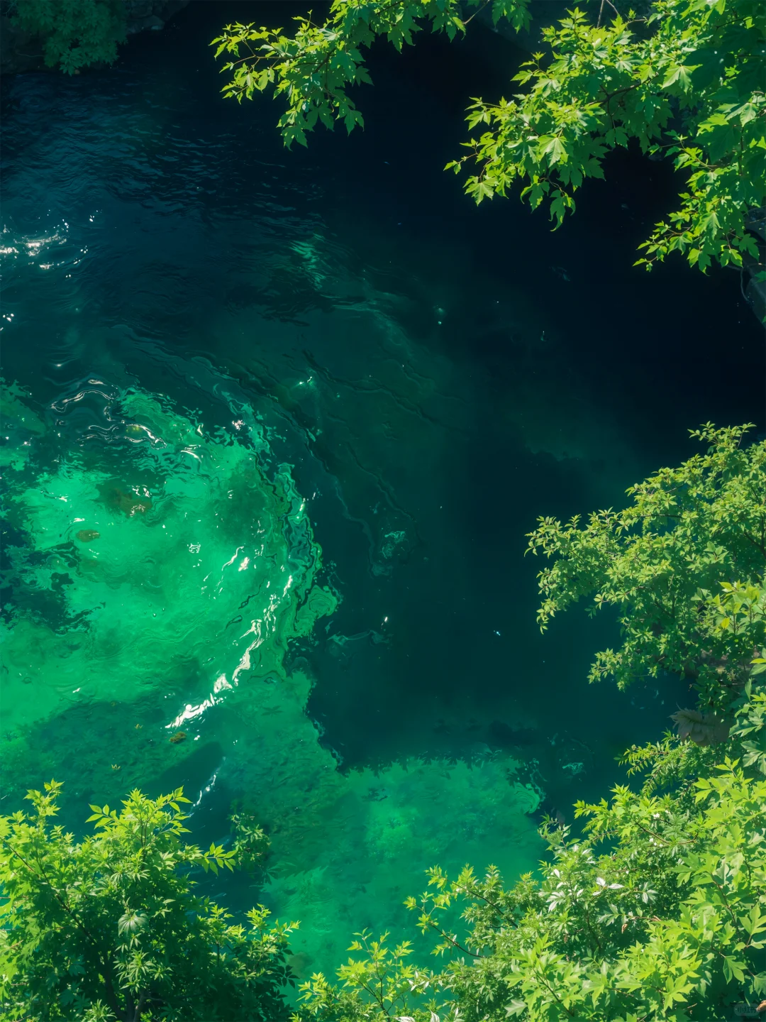 还能找到比这更绿的壁纸吗
