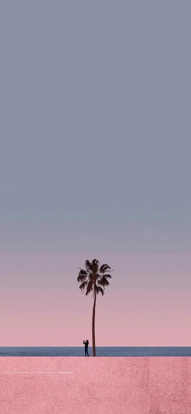 分享一组唯美极简壁纸