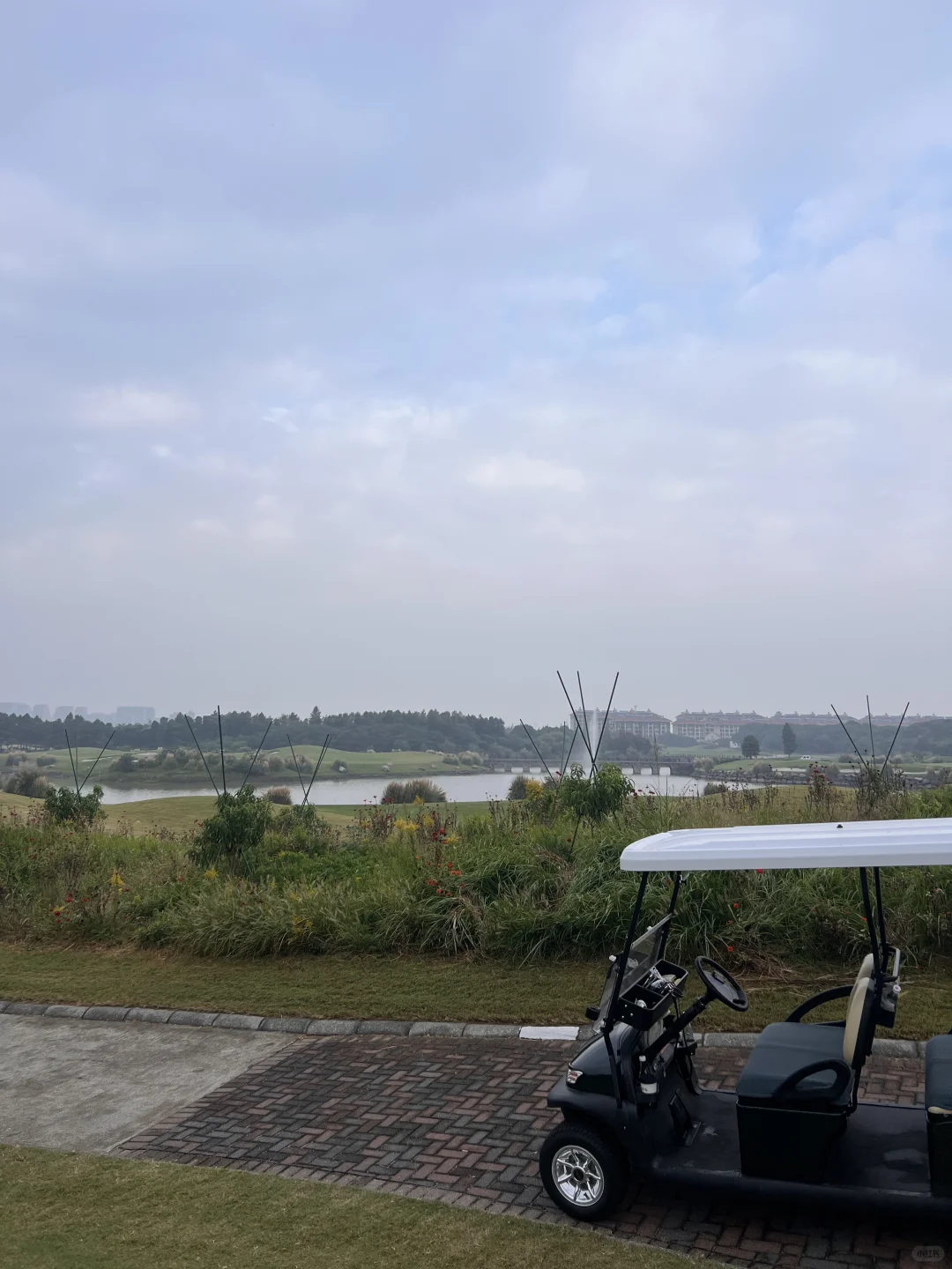 关于高尔夫，我拍了拍你～