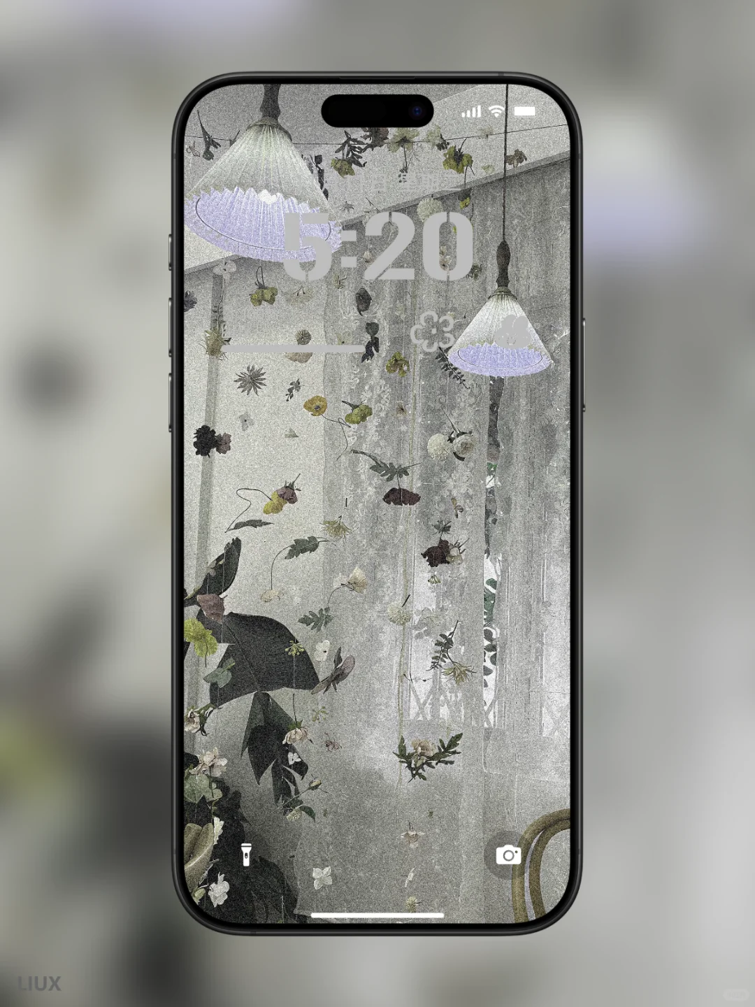 《氛围感拉满的白百合手机壁纸｜把清新与温柔