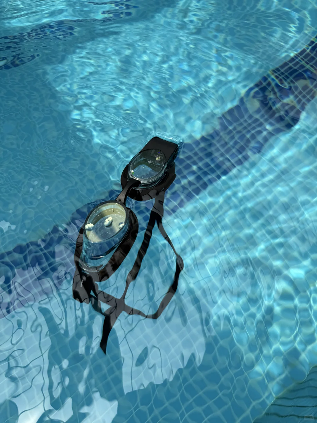 一个小小flag：秋天一定要酷酷游🏊🏻