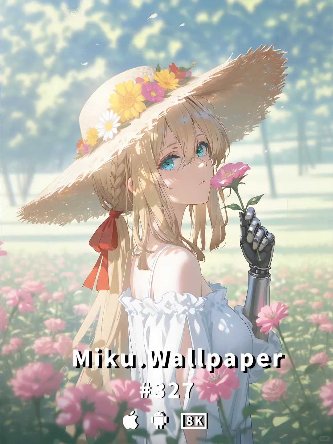 壁纸｜薇尔莉特丨紫罗兰永恒花园~