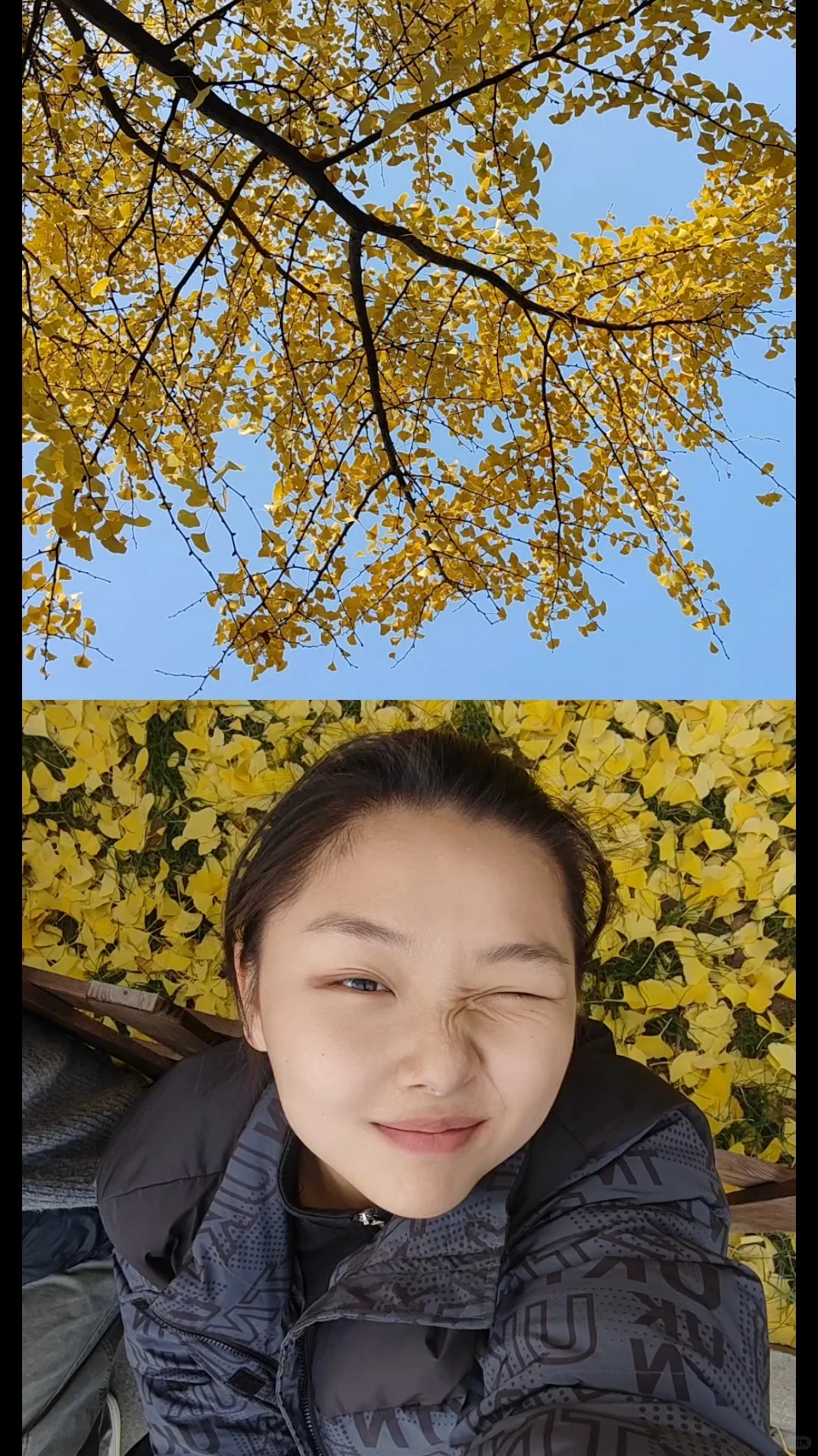 来西安的第三年秋🍁