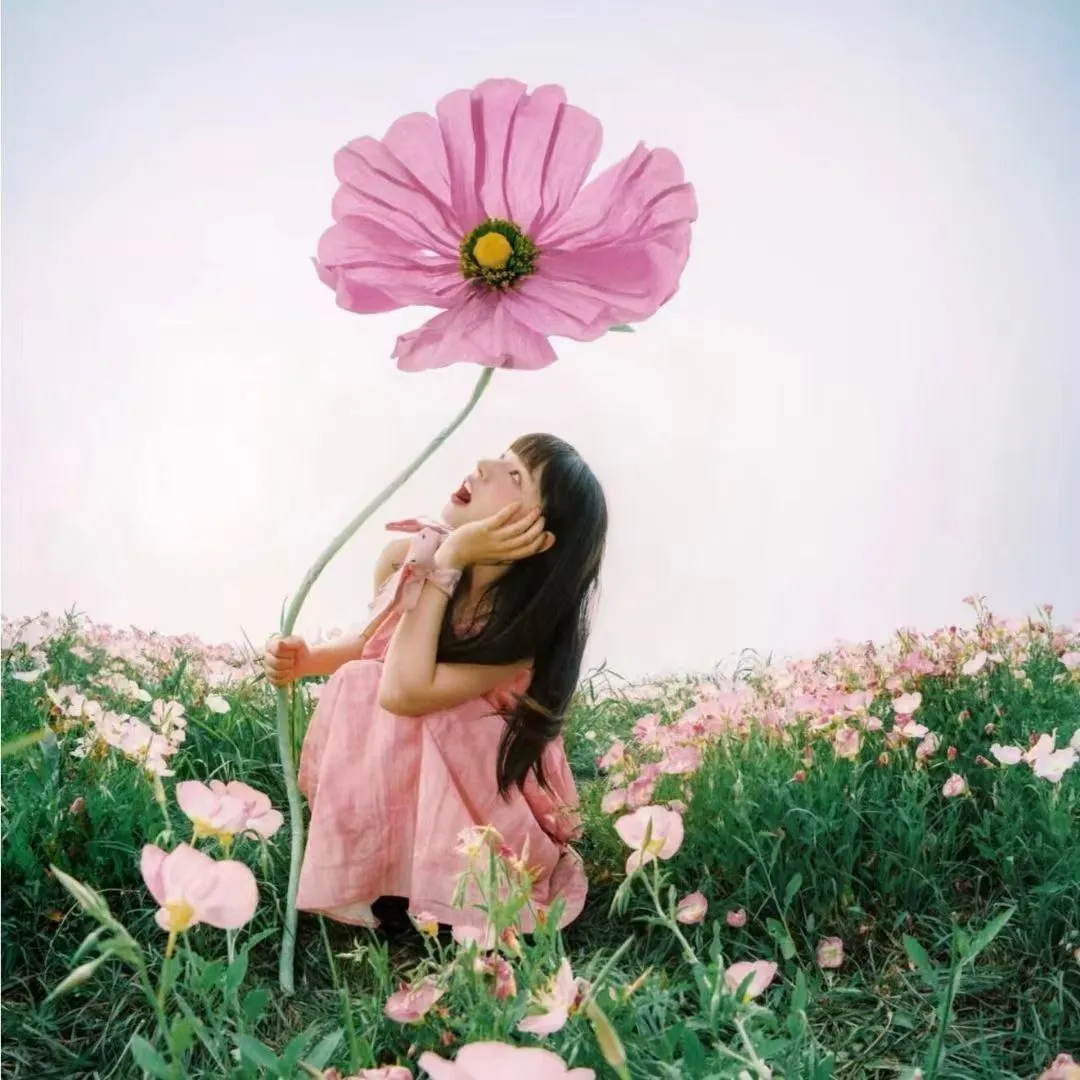 超火壁纸背景图搭配