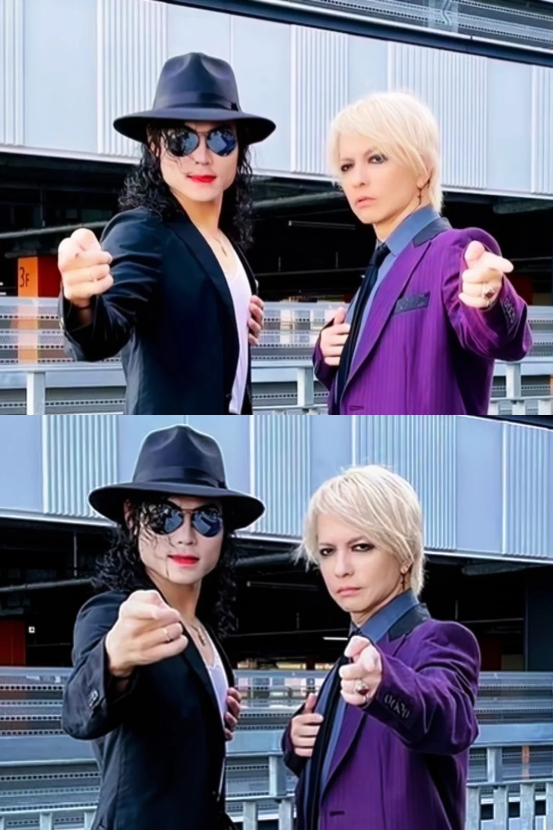 撒娇是小猫最好的嫁妆 ⁺ฅ😽ฅ⁺