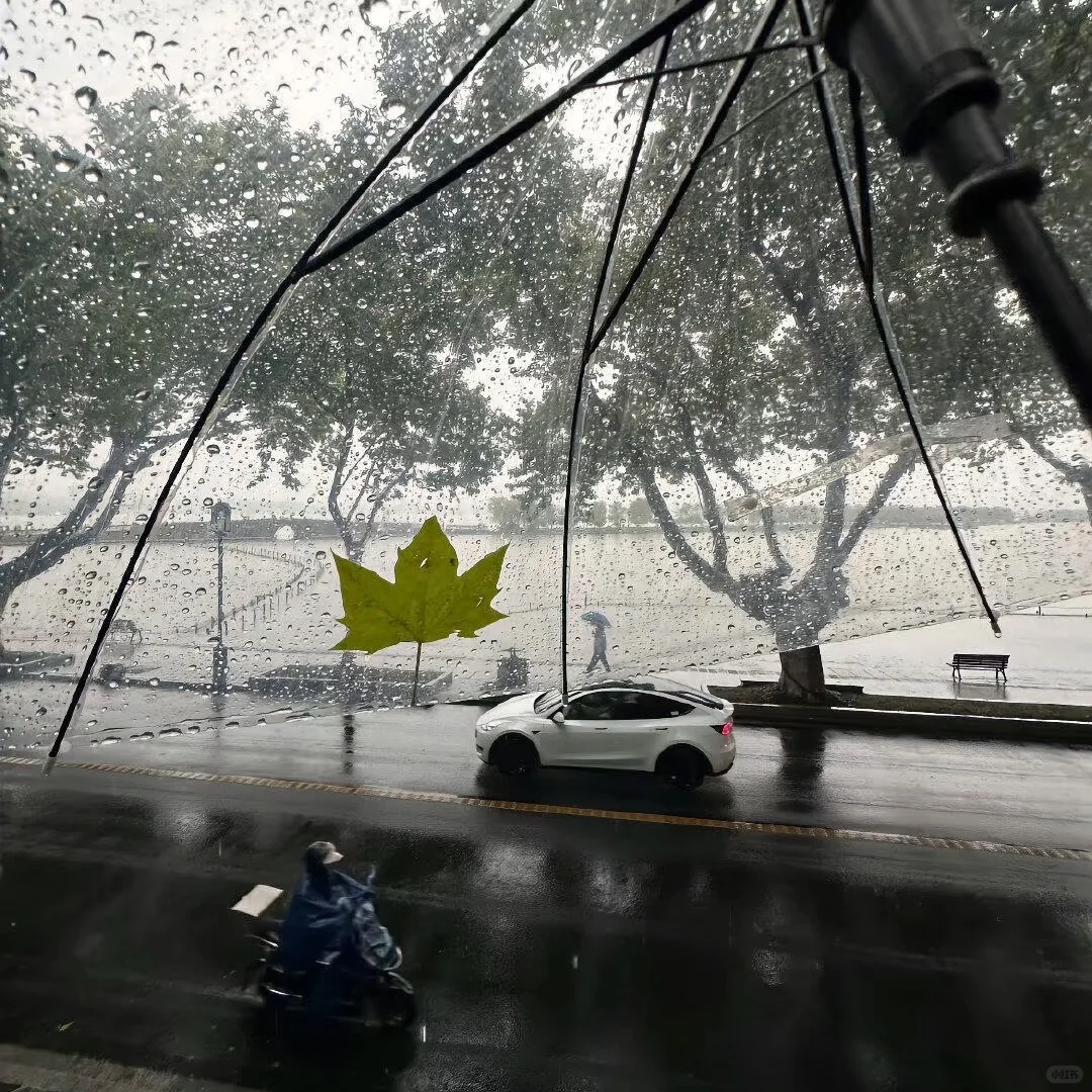 WeChat|治愈系|文艺女生头像＋壁纸