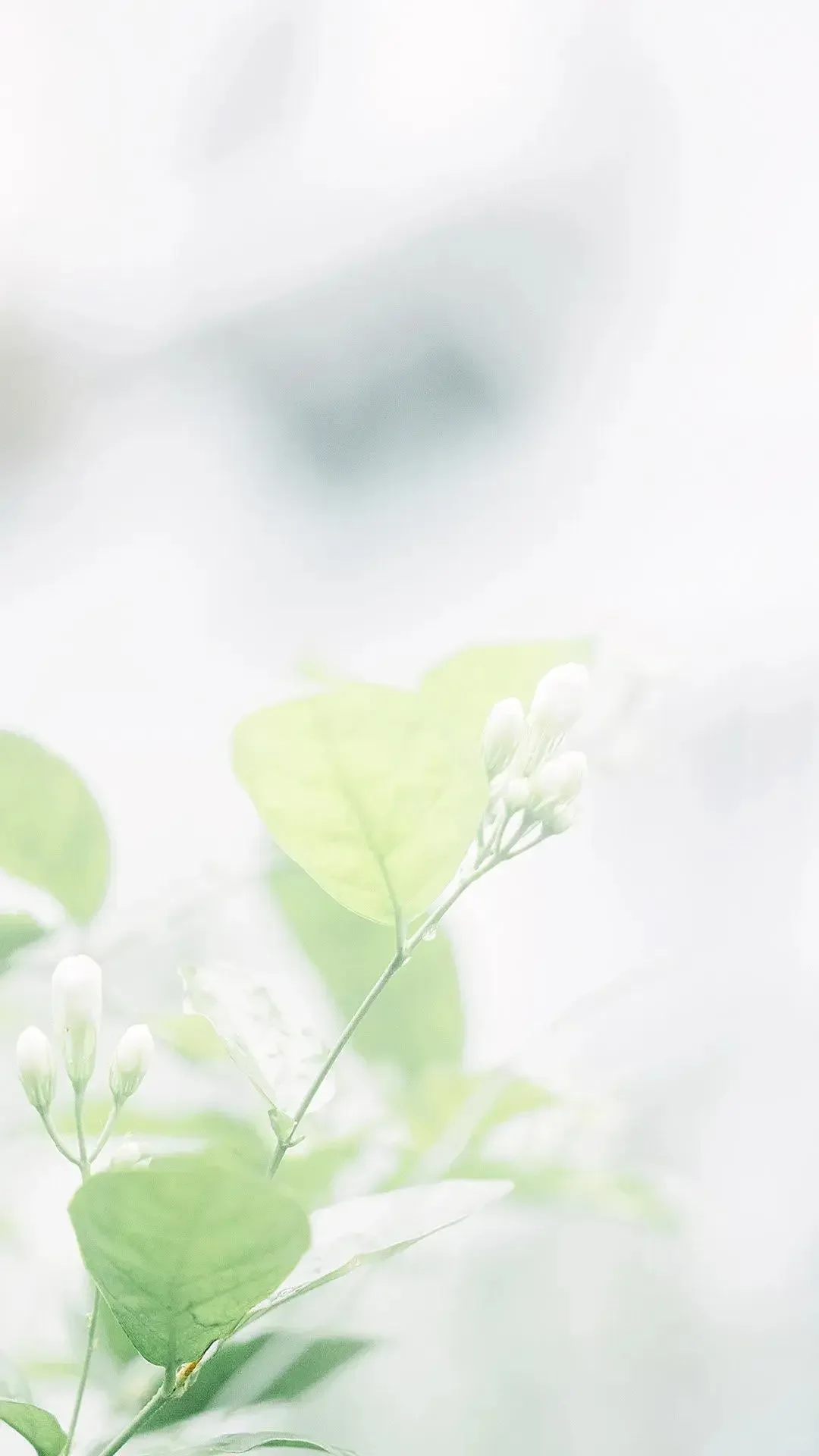 分享一组唯美极简壁纸