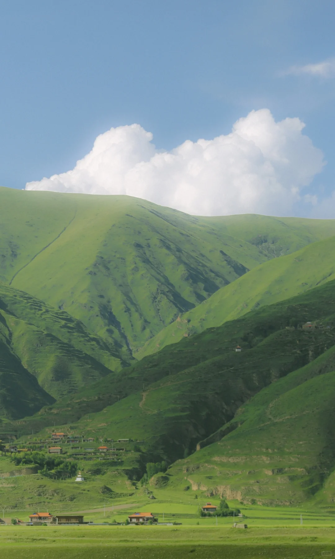 全屏封神挑战｜自然的留白