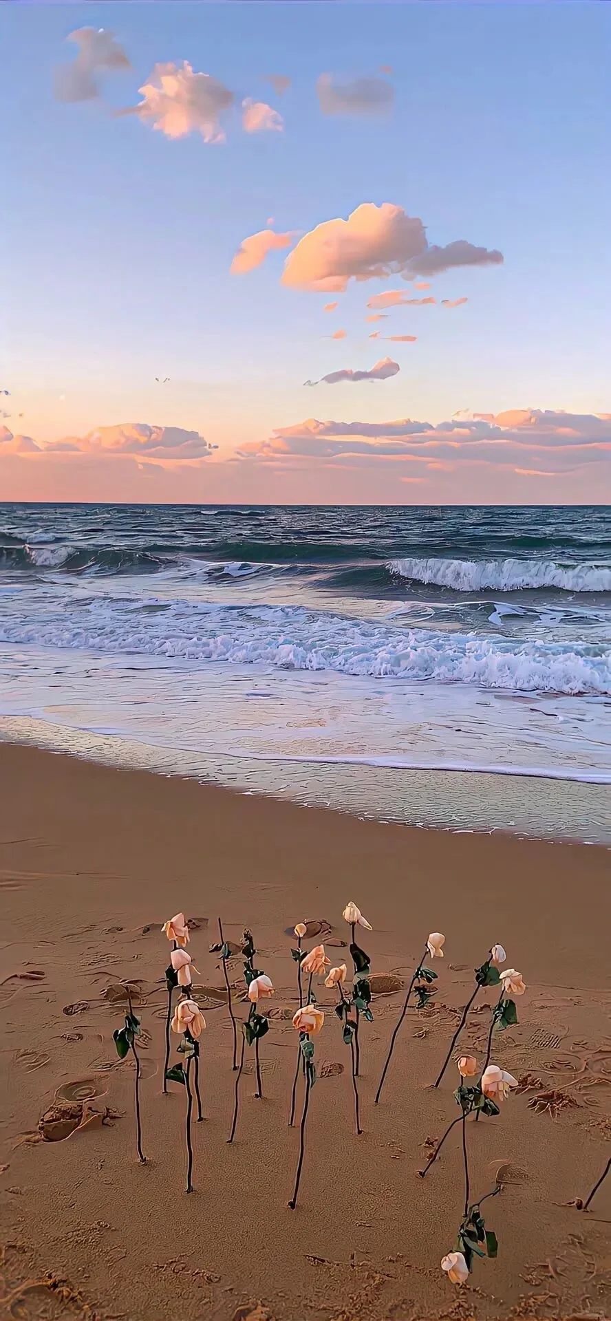 share/氛围感壁纸