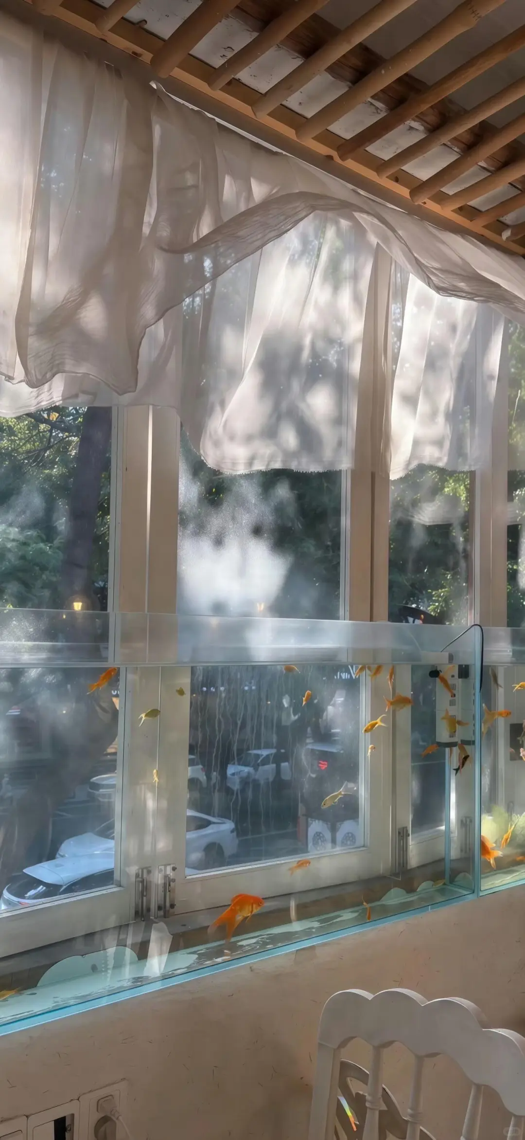 share | ins风清冷感壁纸