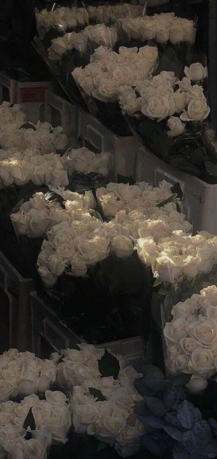 个人比较喜欢的一些小众壁纸