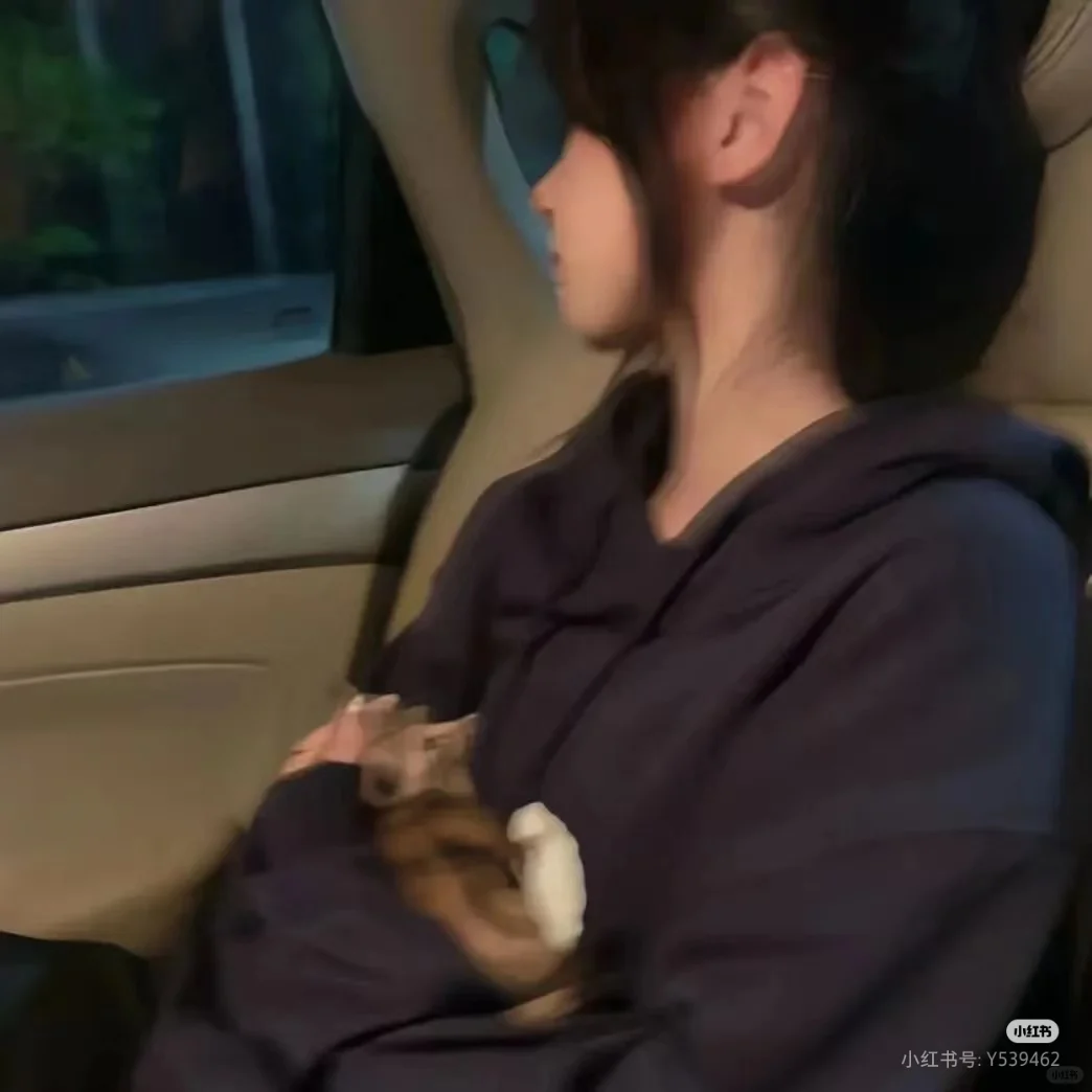 真人女头，拿图吱一声