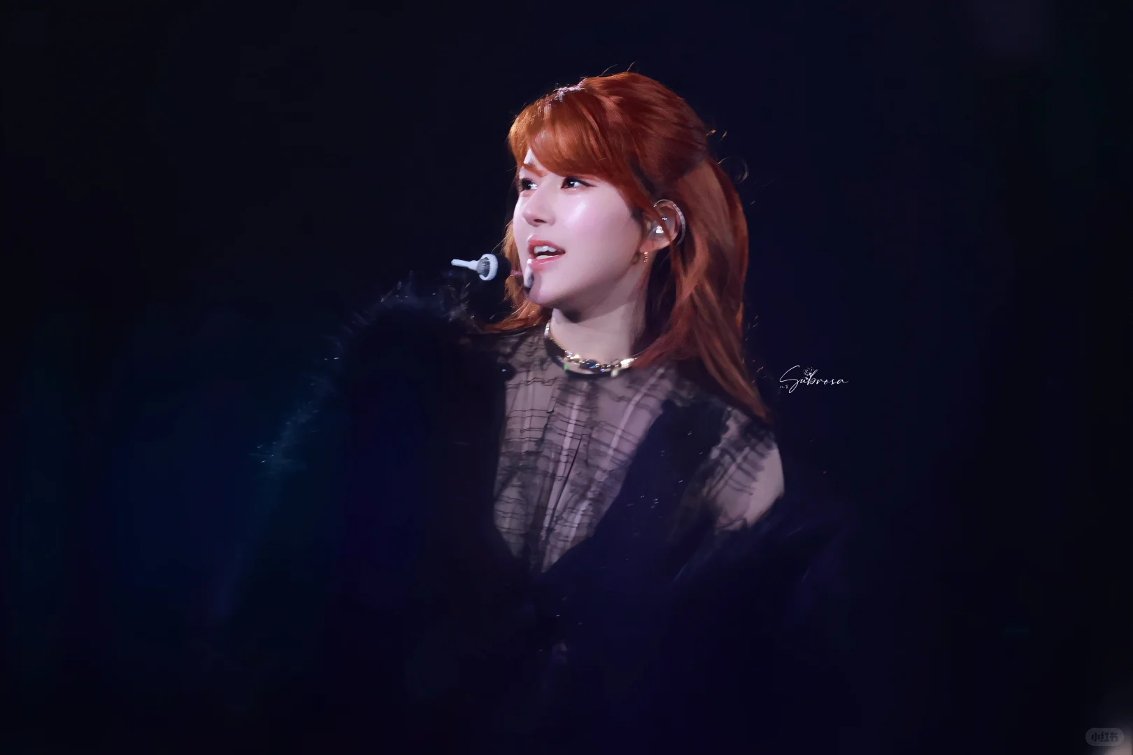 有个露露火辣辣