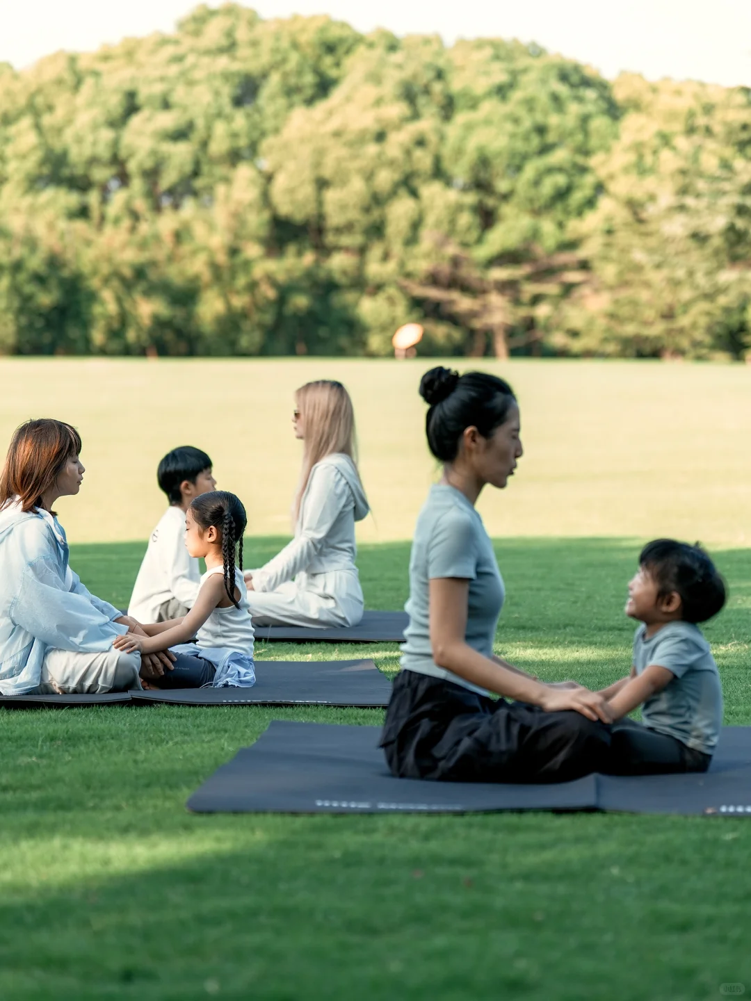 日落、草坪、瑜伽，与自然交朋友