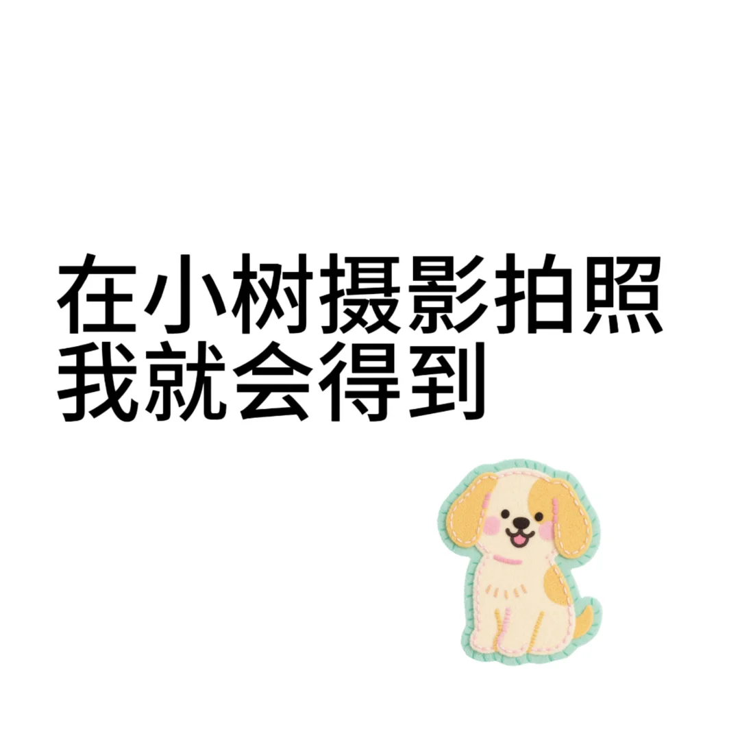 小树摄影 也太会出片了吧！