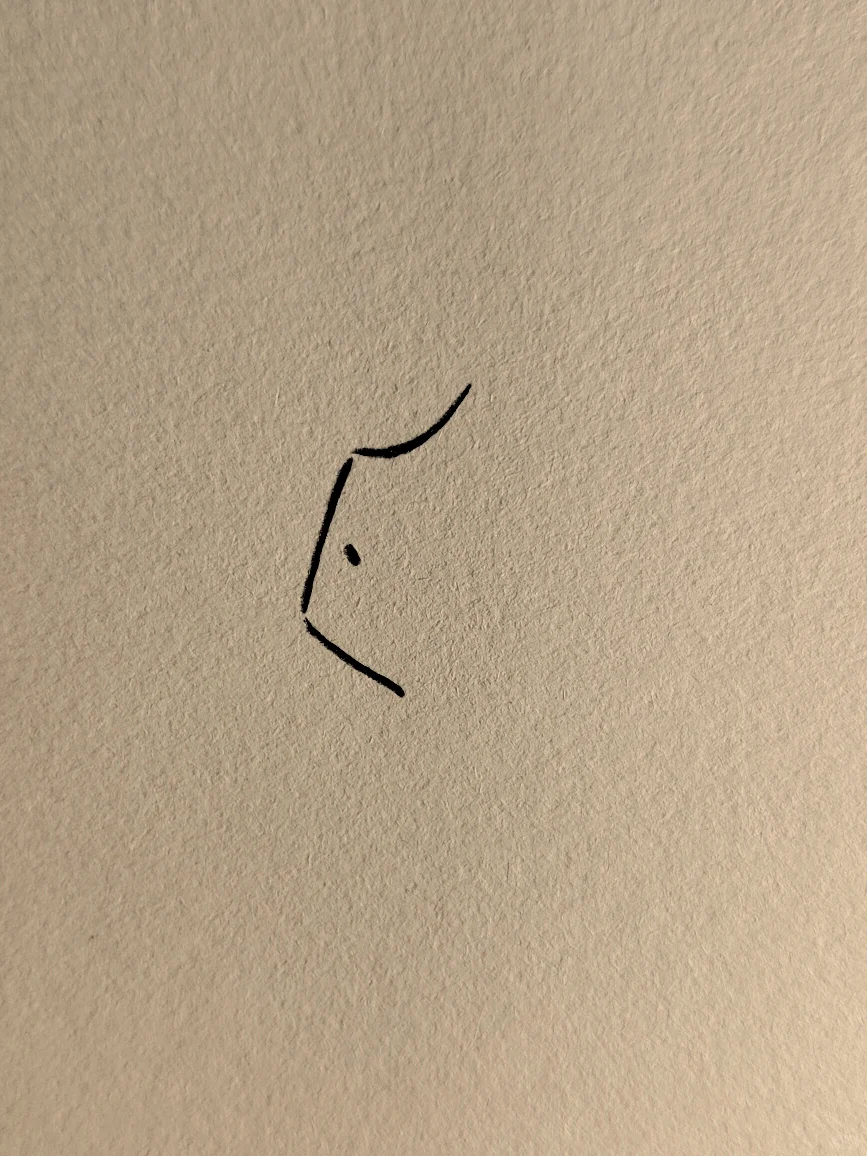 简笔画：今天这个线条太喜欢了～🫰🏻