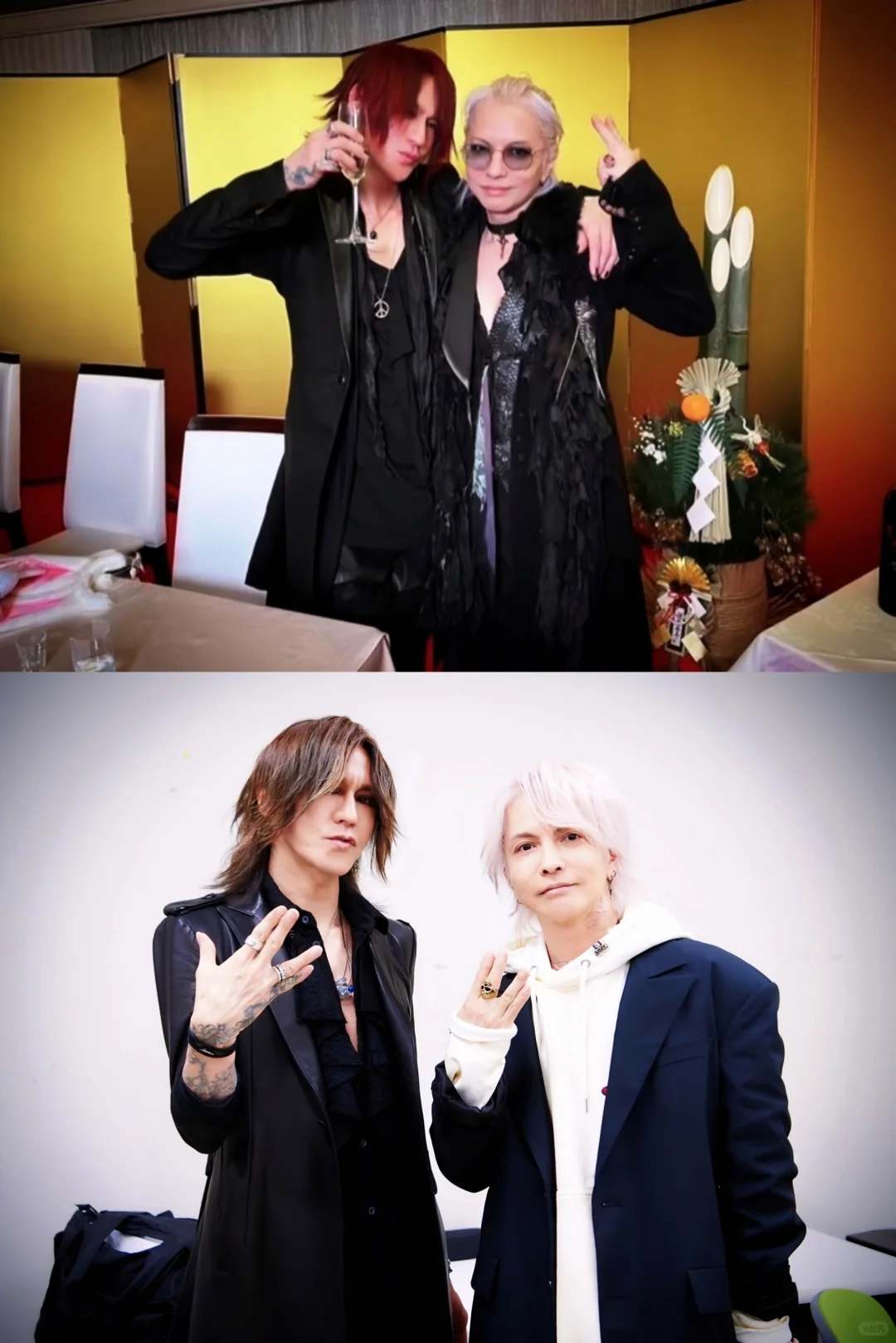 撒娇是小猫最好的嫁妆 ⁺ฅ😽ฅ⁺