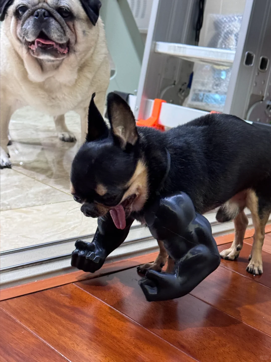 听说女人都喜欢肌肉💪🏻