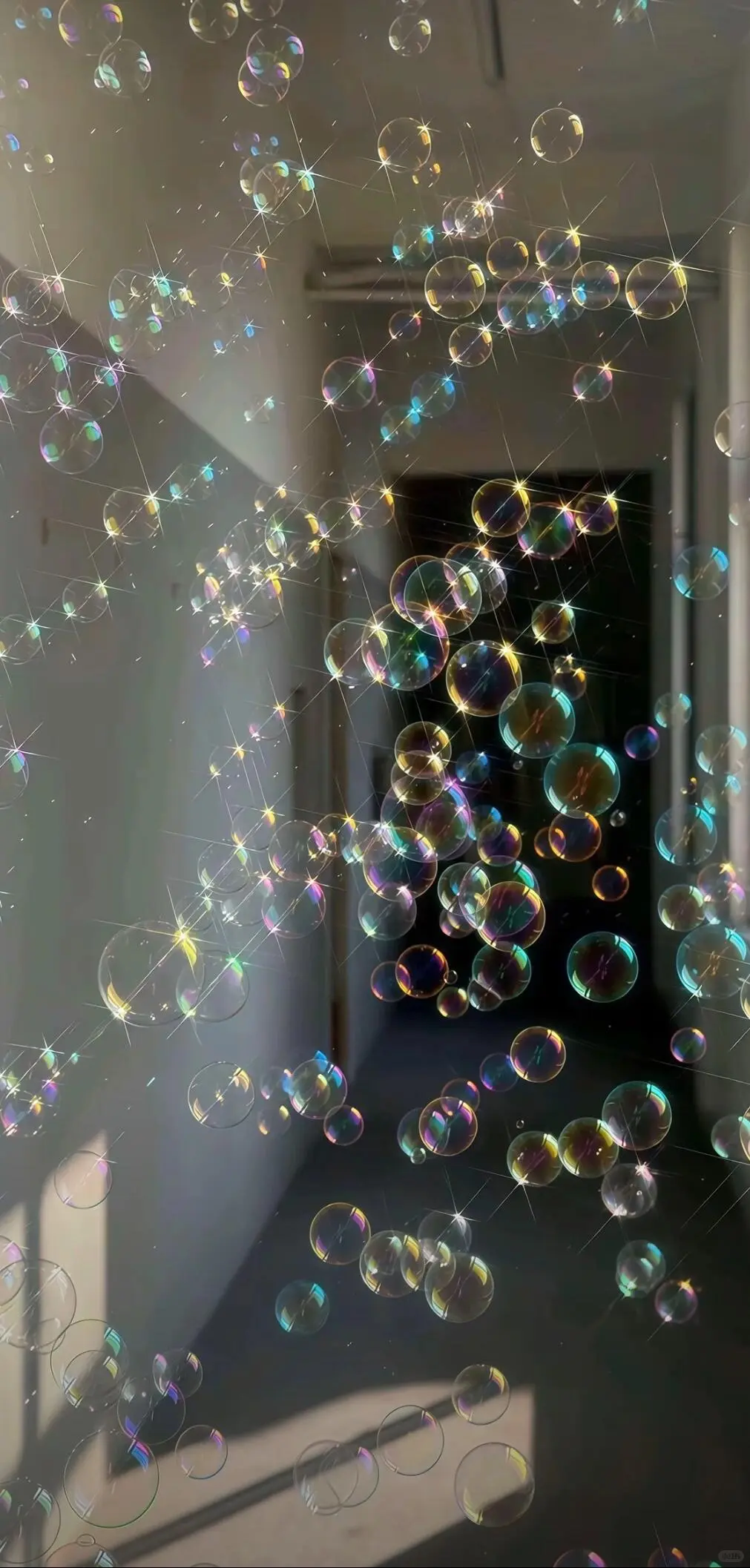 share | ins风清冷感壁纸