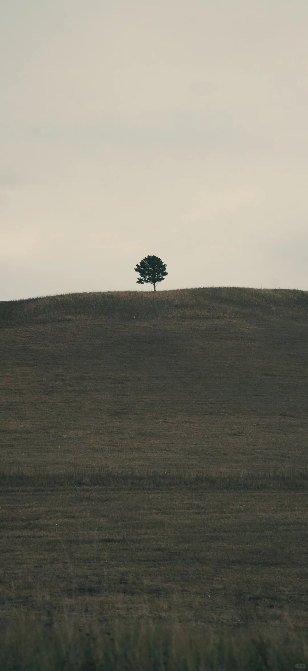 苹果系统 壁纸上新