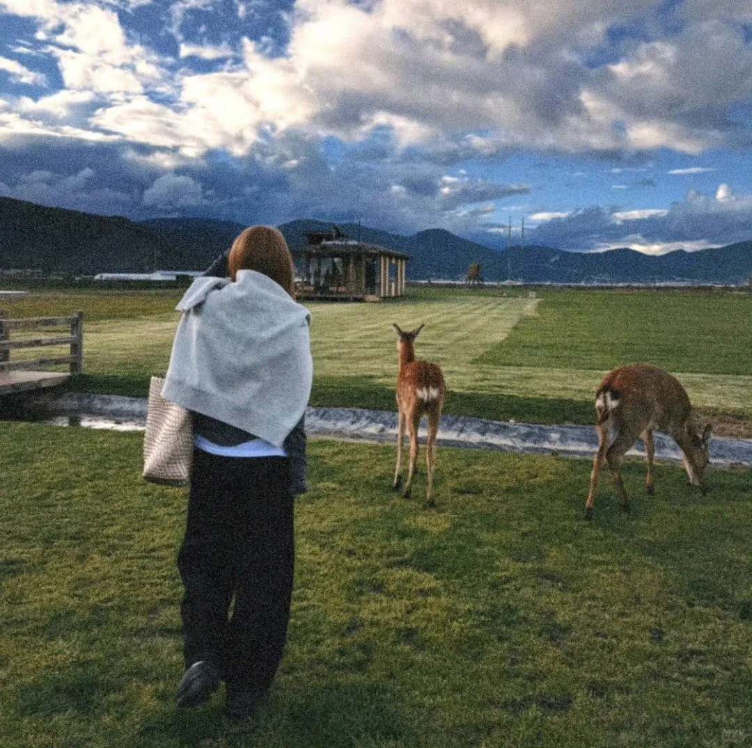 蓝色系头像🔵🔵🔵