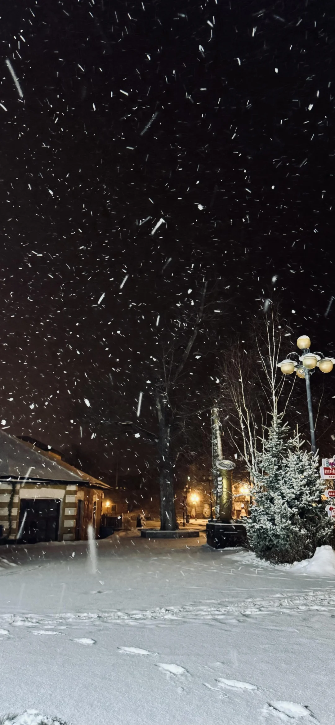 冬日雪景❄️壁纸