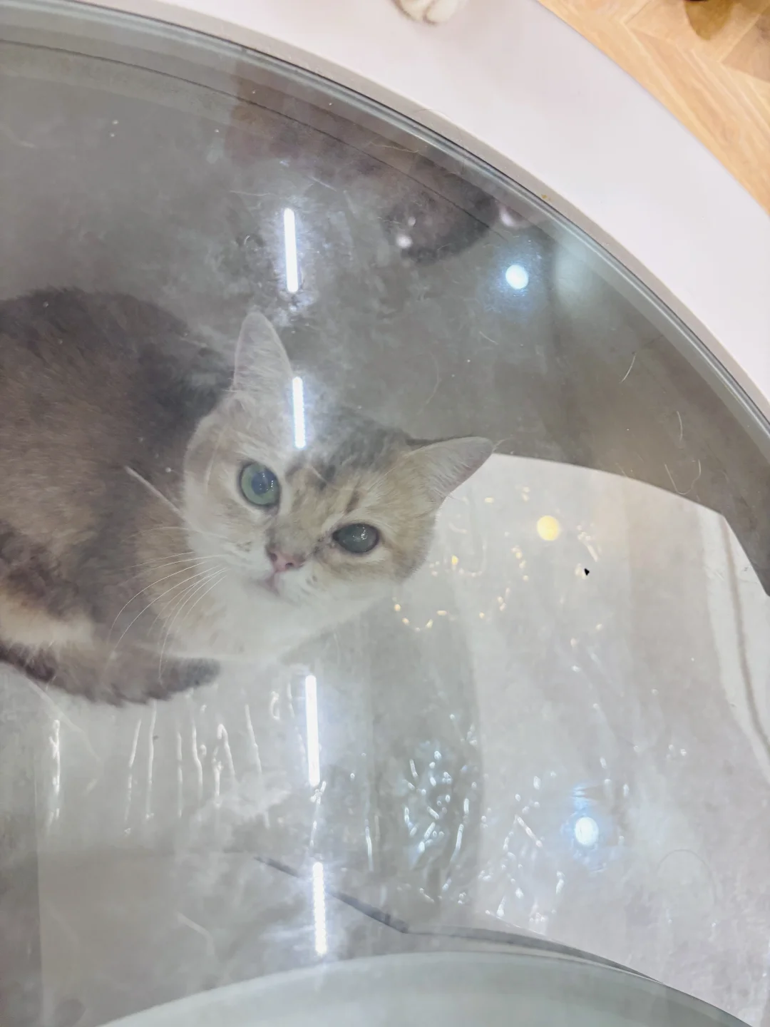 会撒娇的长得好看的你选哪个？