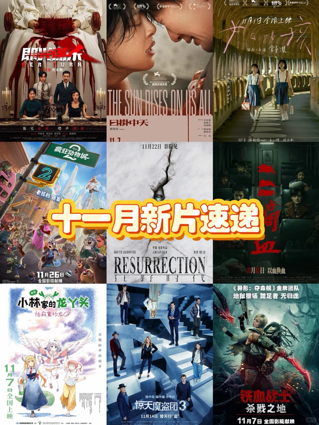 🎦十一月我将住在电影院