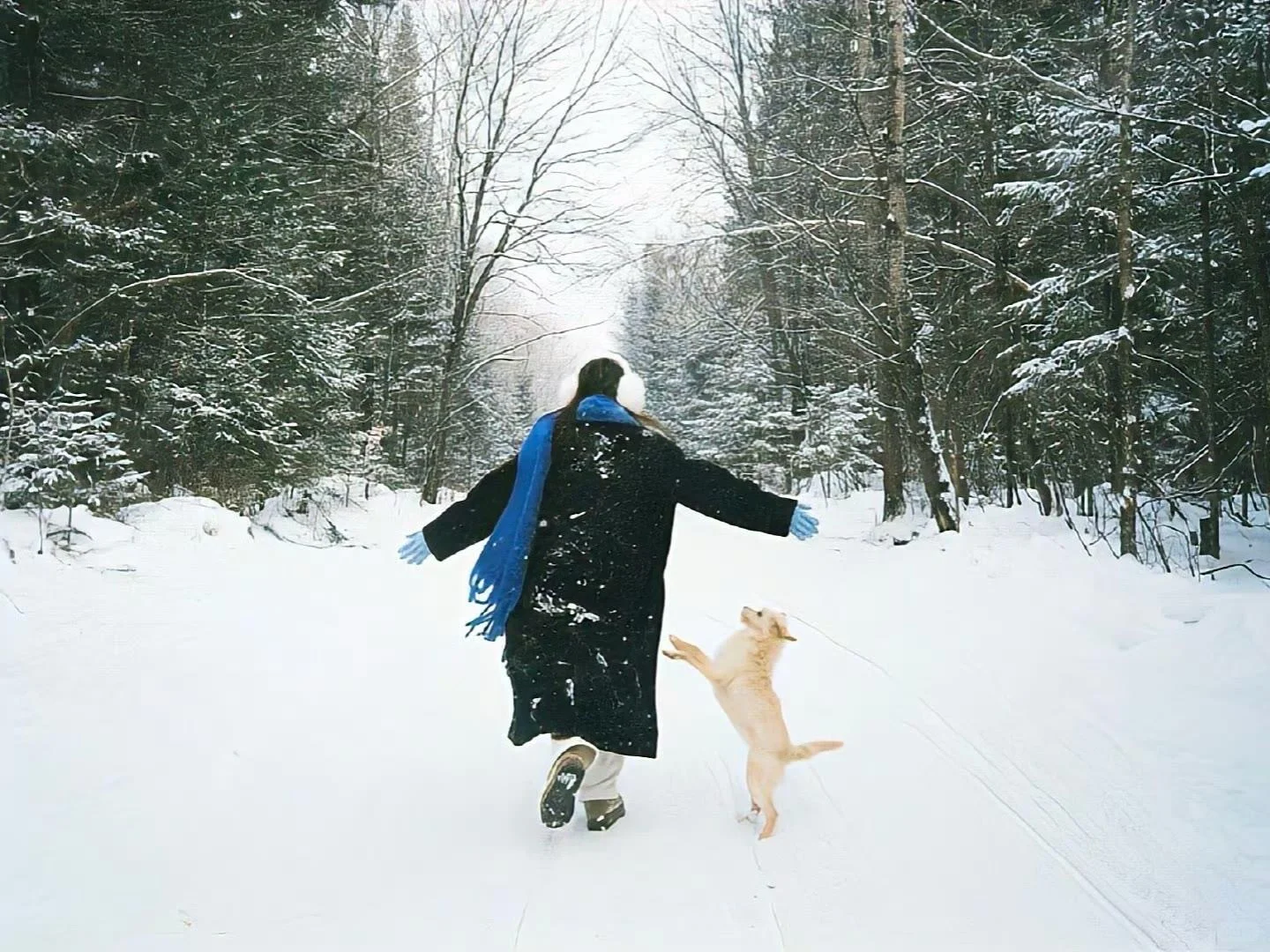 iPad壁纸｜冬雪❄️