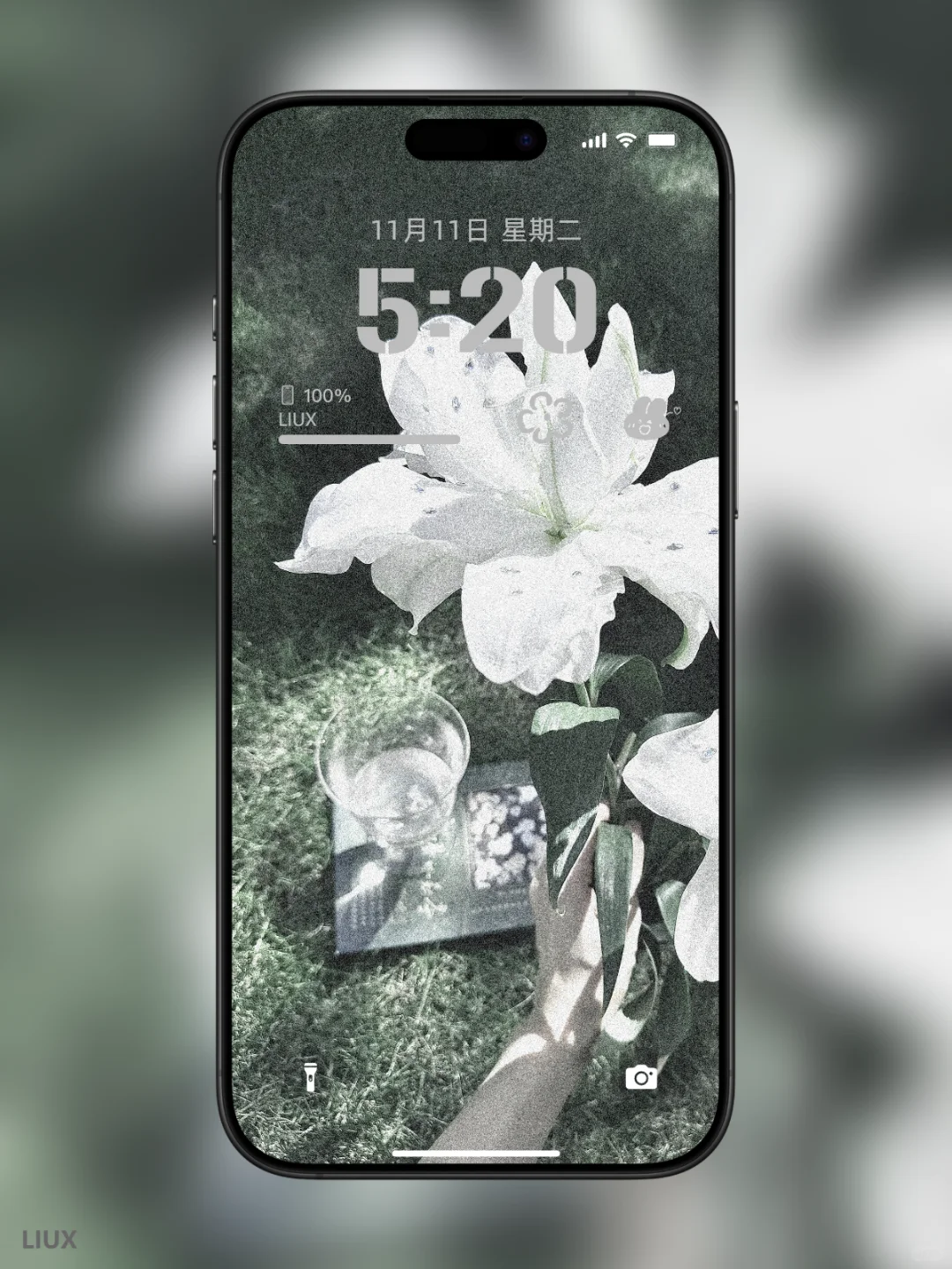 《氛围感拉满的白百合手机壁纸｜把清新与温柔