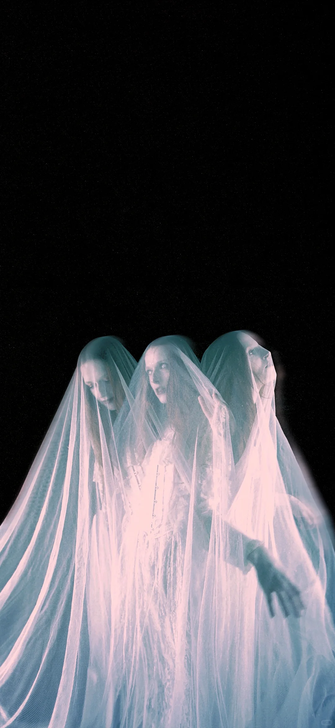 被你发现了宝藏壁纸