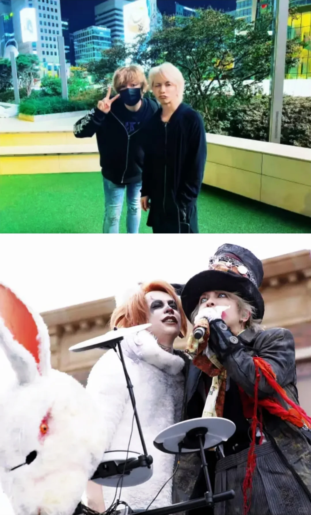 撒娇是小猫最好的嫁妆 ⁺ฅ😽ฅ⁺