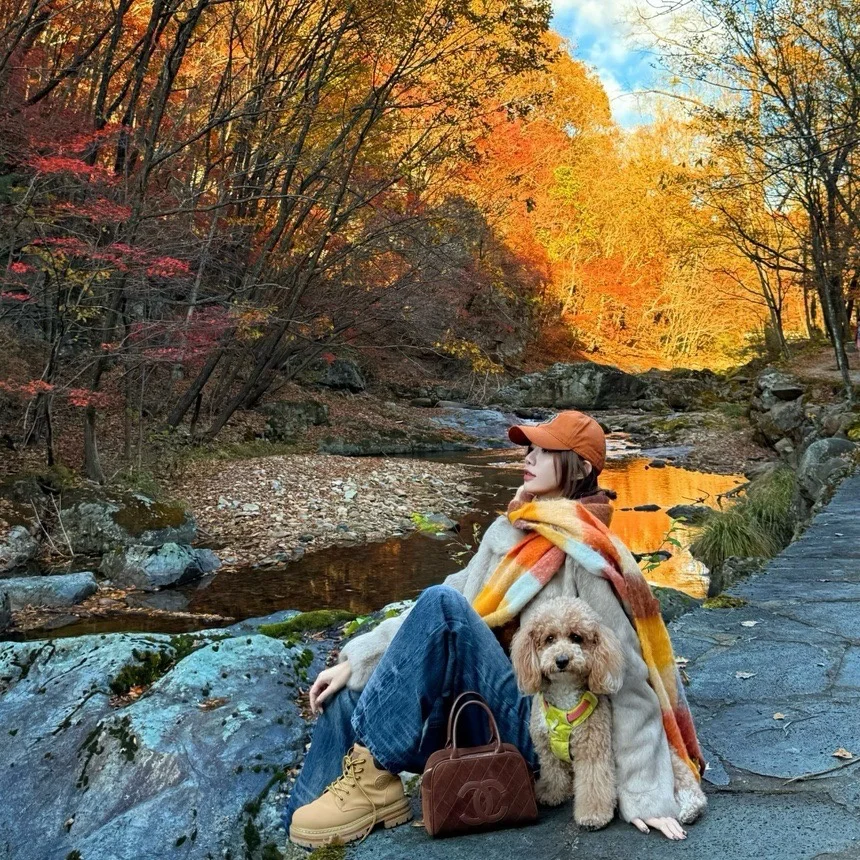 无水印女头(小众)