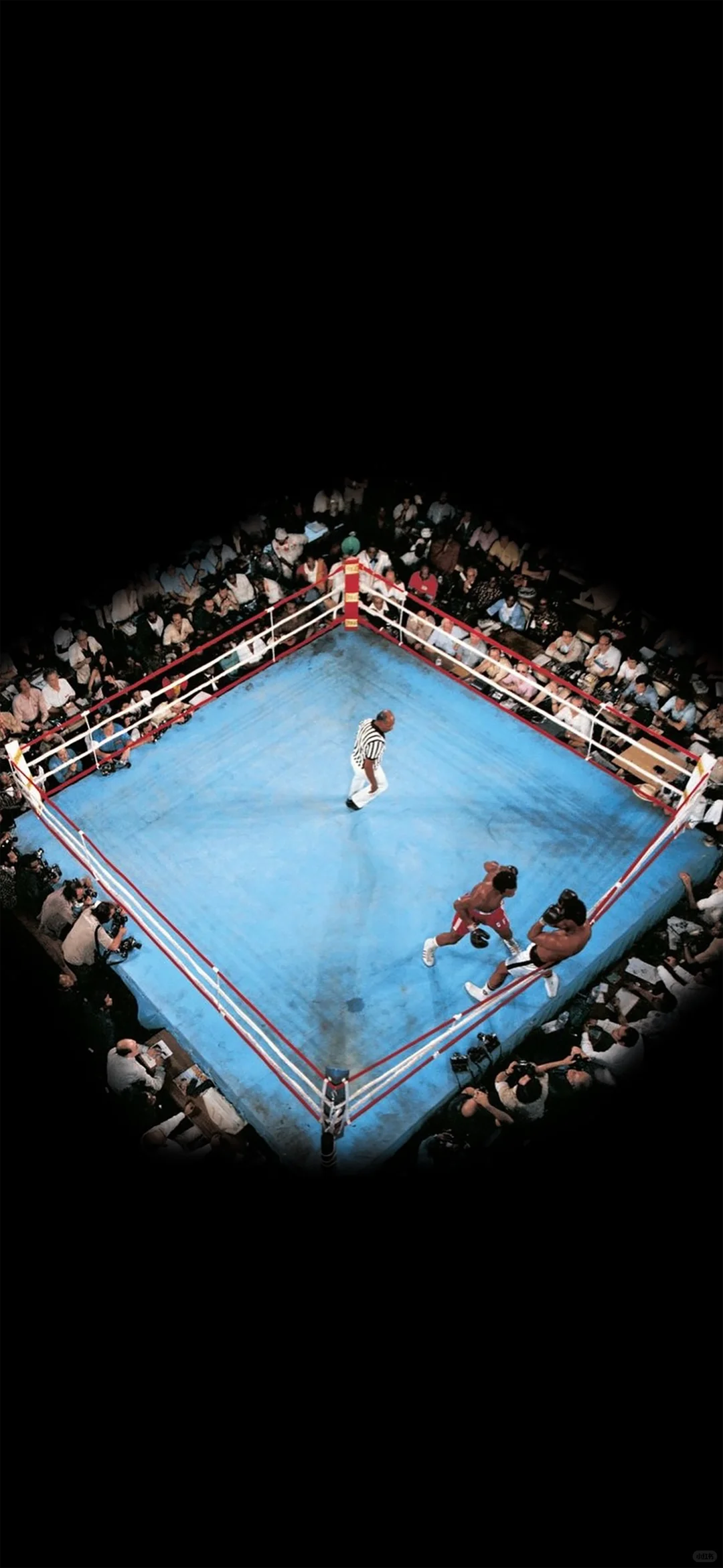 被你发现了宝藏壁纸