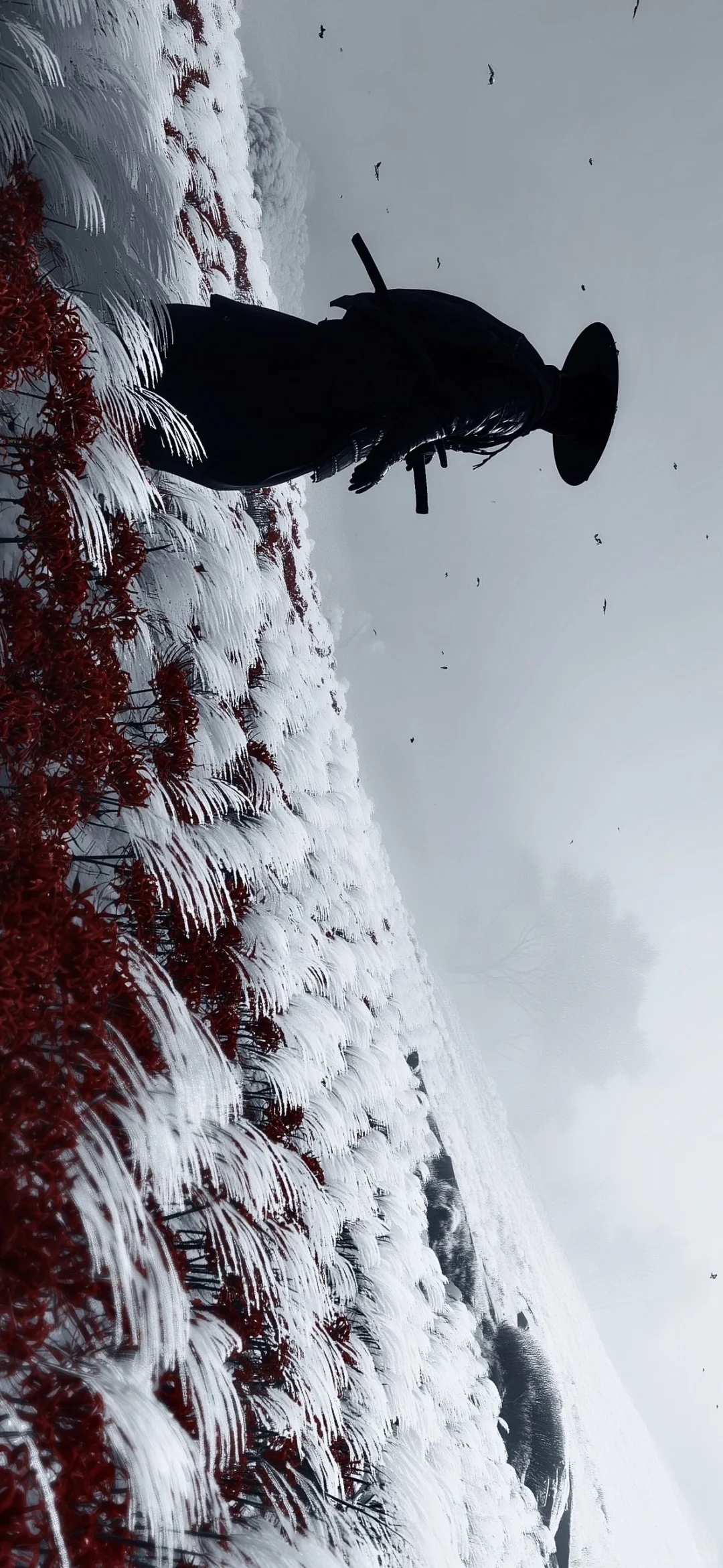 个人比较喜欢的一些小众壁纸