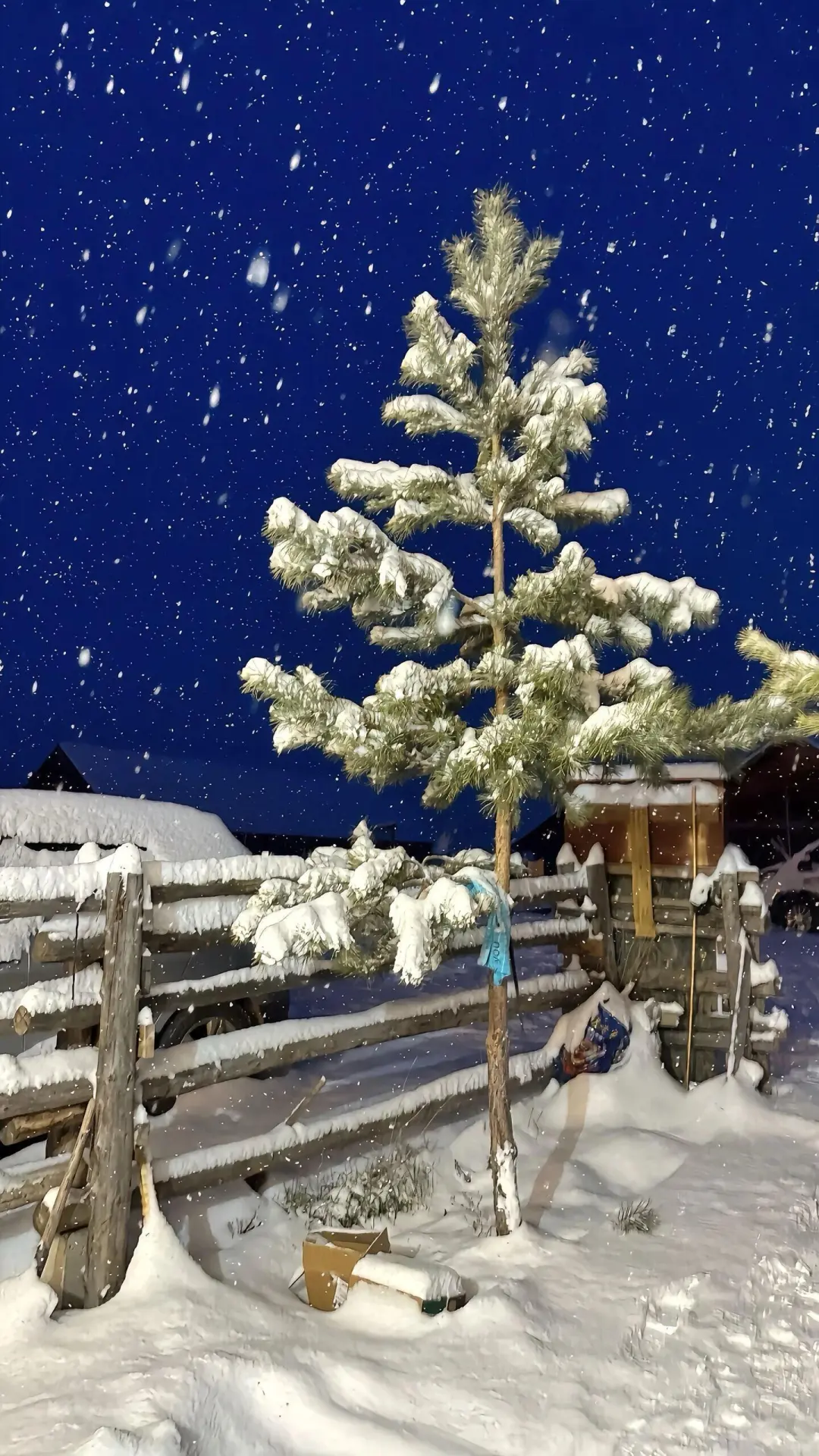 冬日氛围感壁纸！！