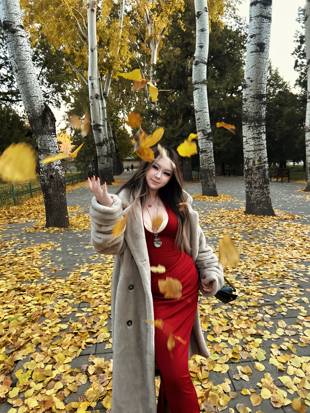 又是一个秋天🍁