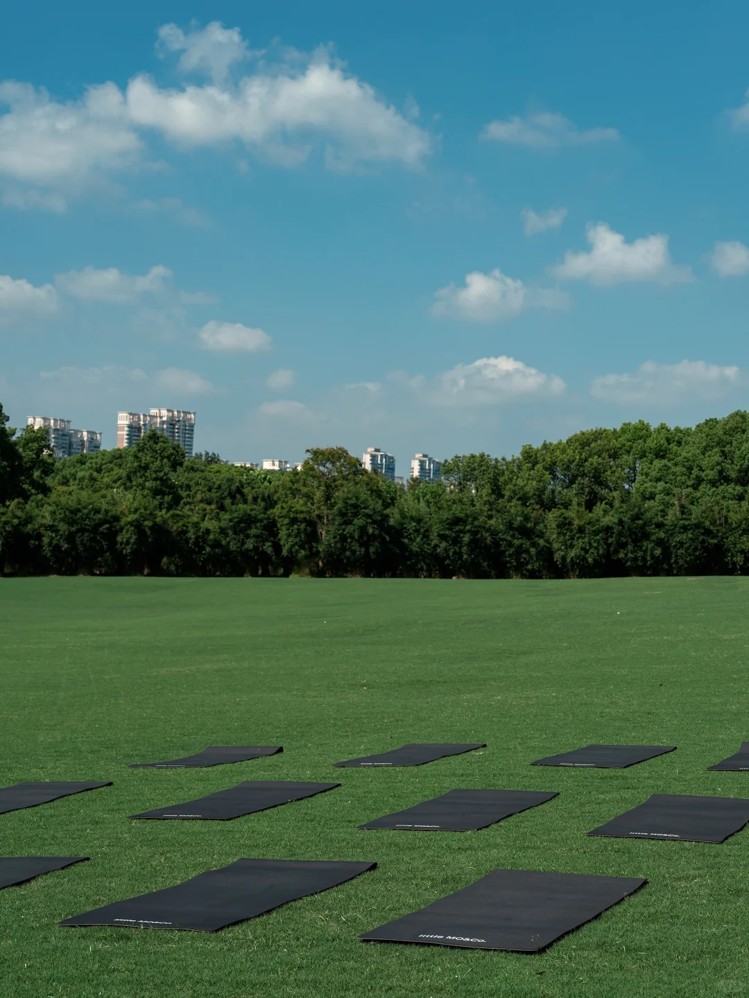 日落、草坪、瑜伽，与自然交朋友