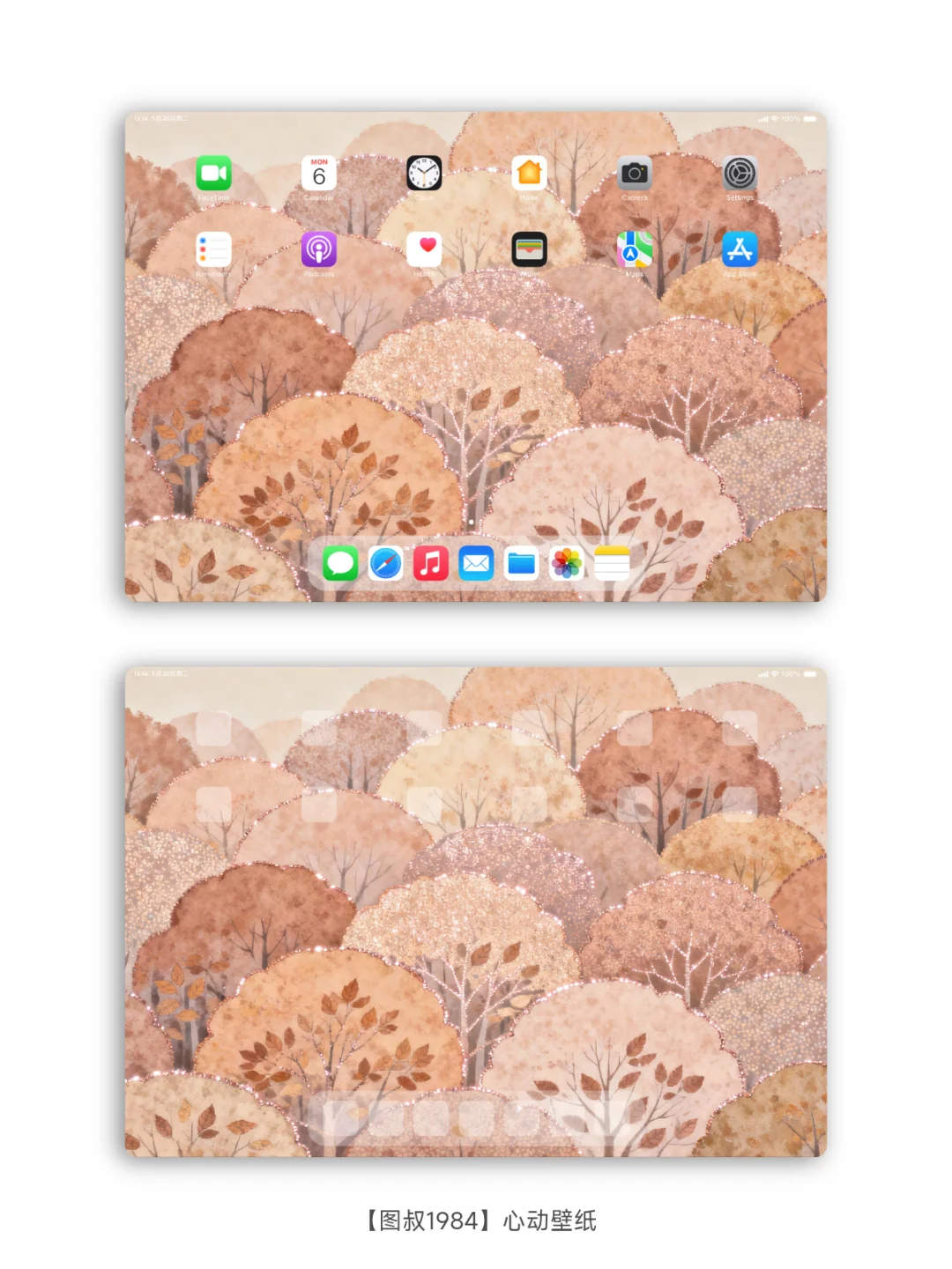 秋天的树，童话般的壁纸，太治愈了！