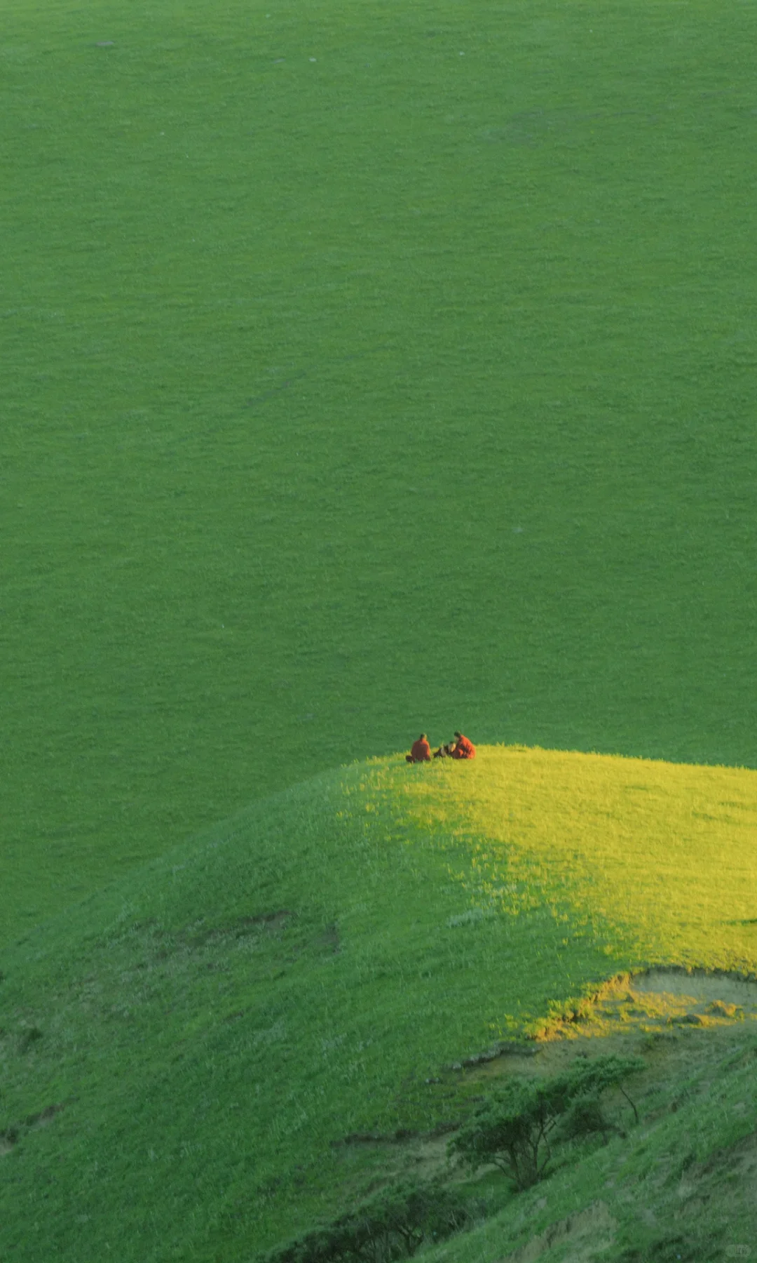 全屏封神挑战｜自然的留白