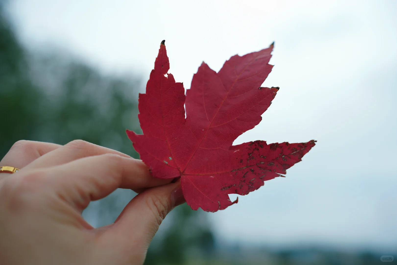 镜头记录着姐姐的自然与美📷