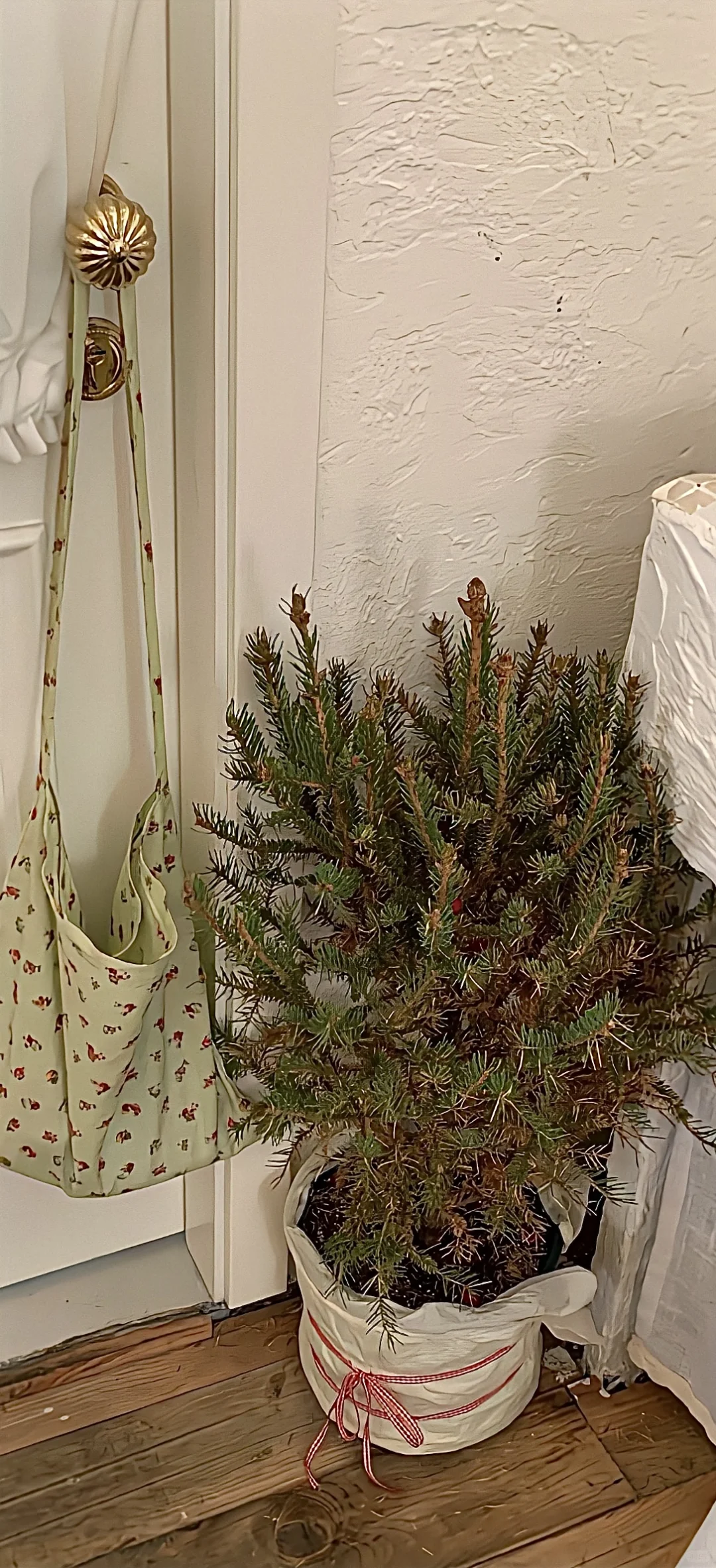 ins风高清治愈系壁纸、治愈系高清手机壁纸