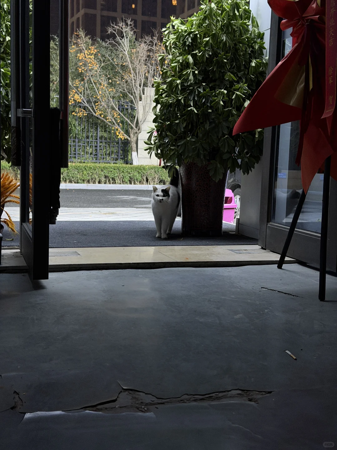 凌晨一点的健身房