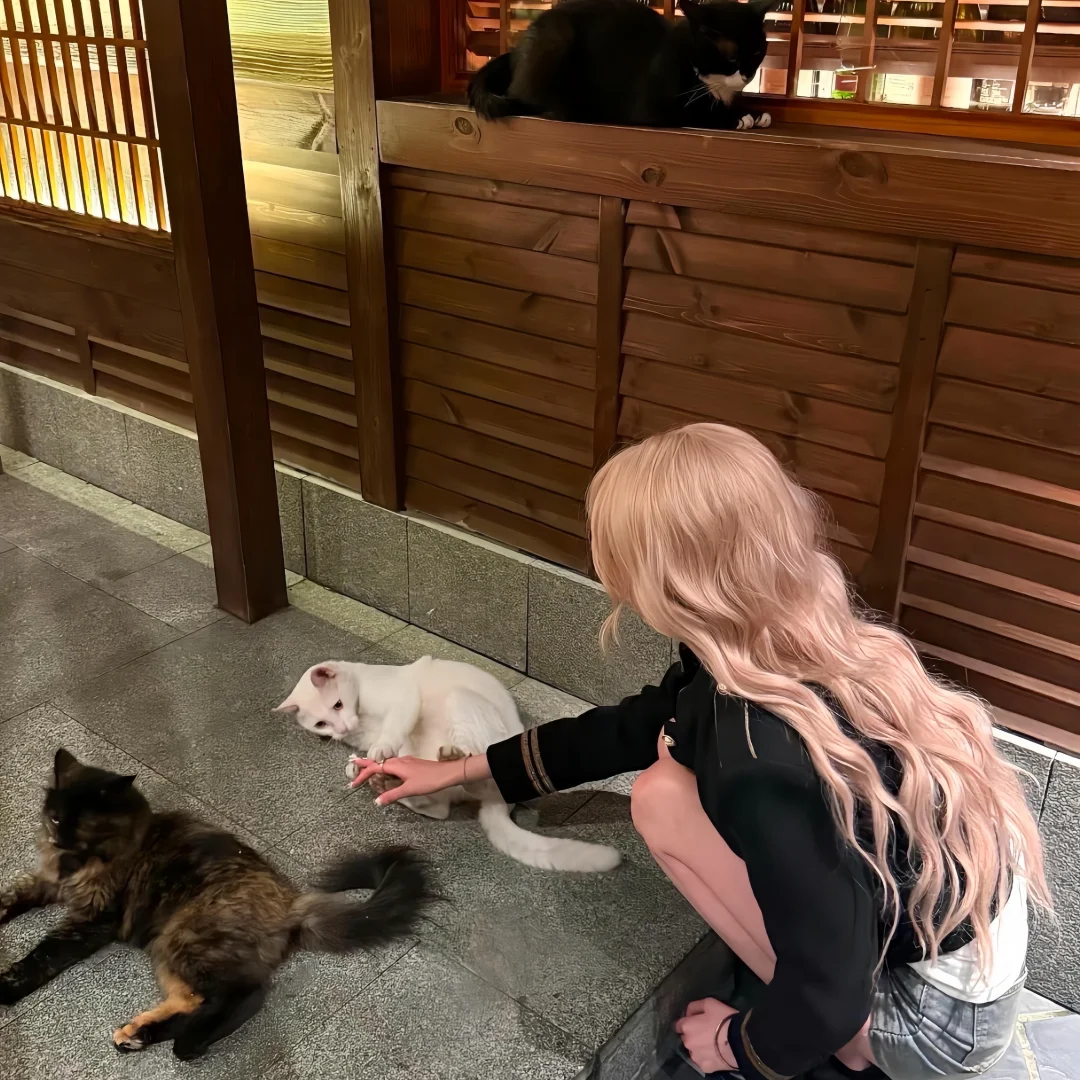 𝙒𝙚𝘾𝙝𝙖𝙩头像｜高清女头