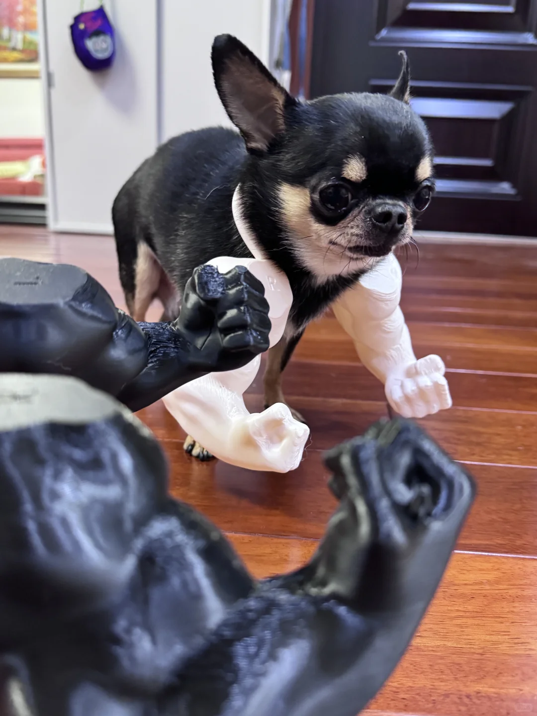 听说女人都喜欢肌肉💪🏻